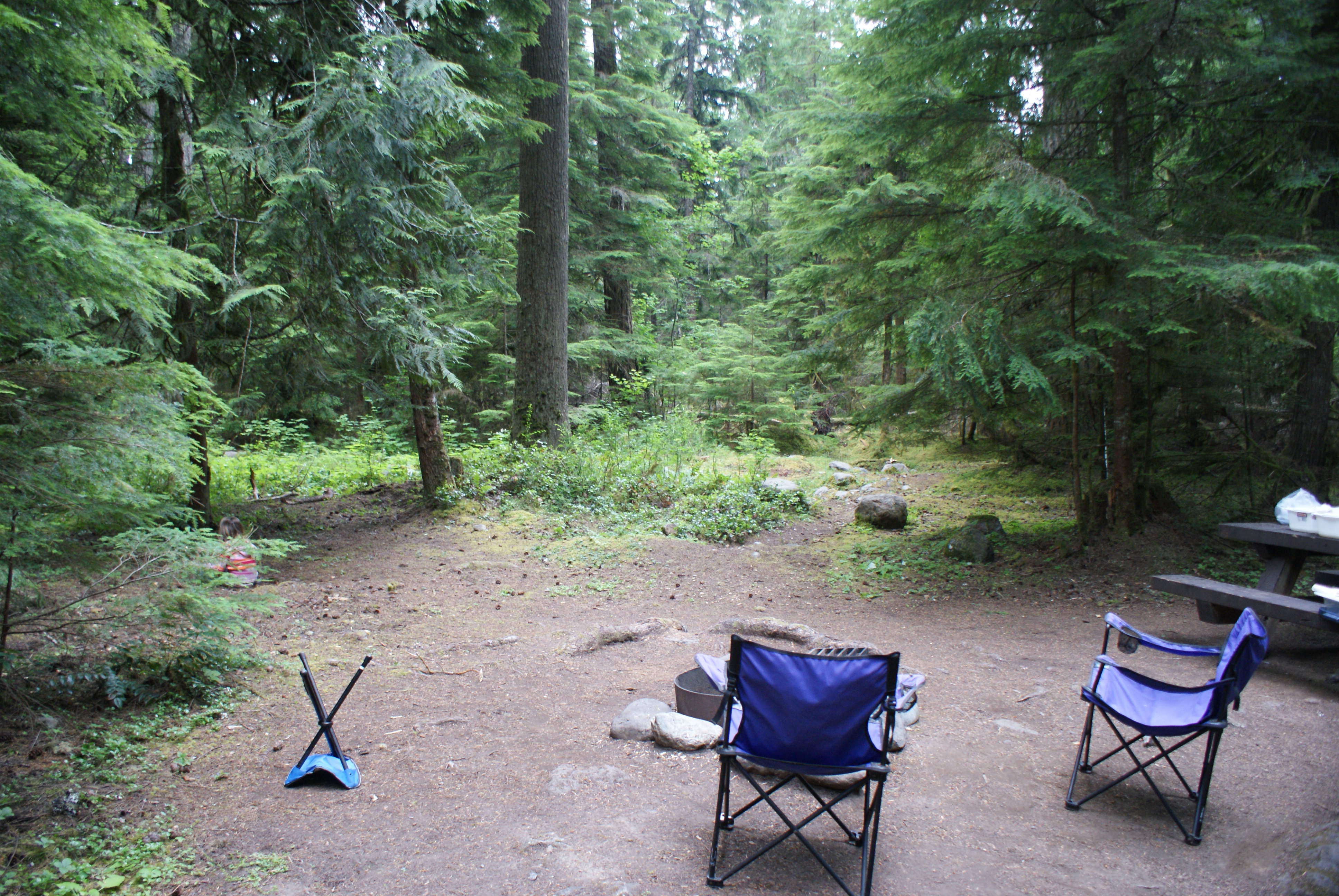 A Day at Mt. Rainier