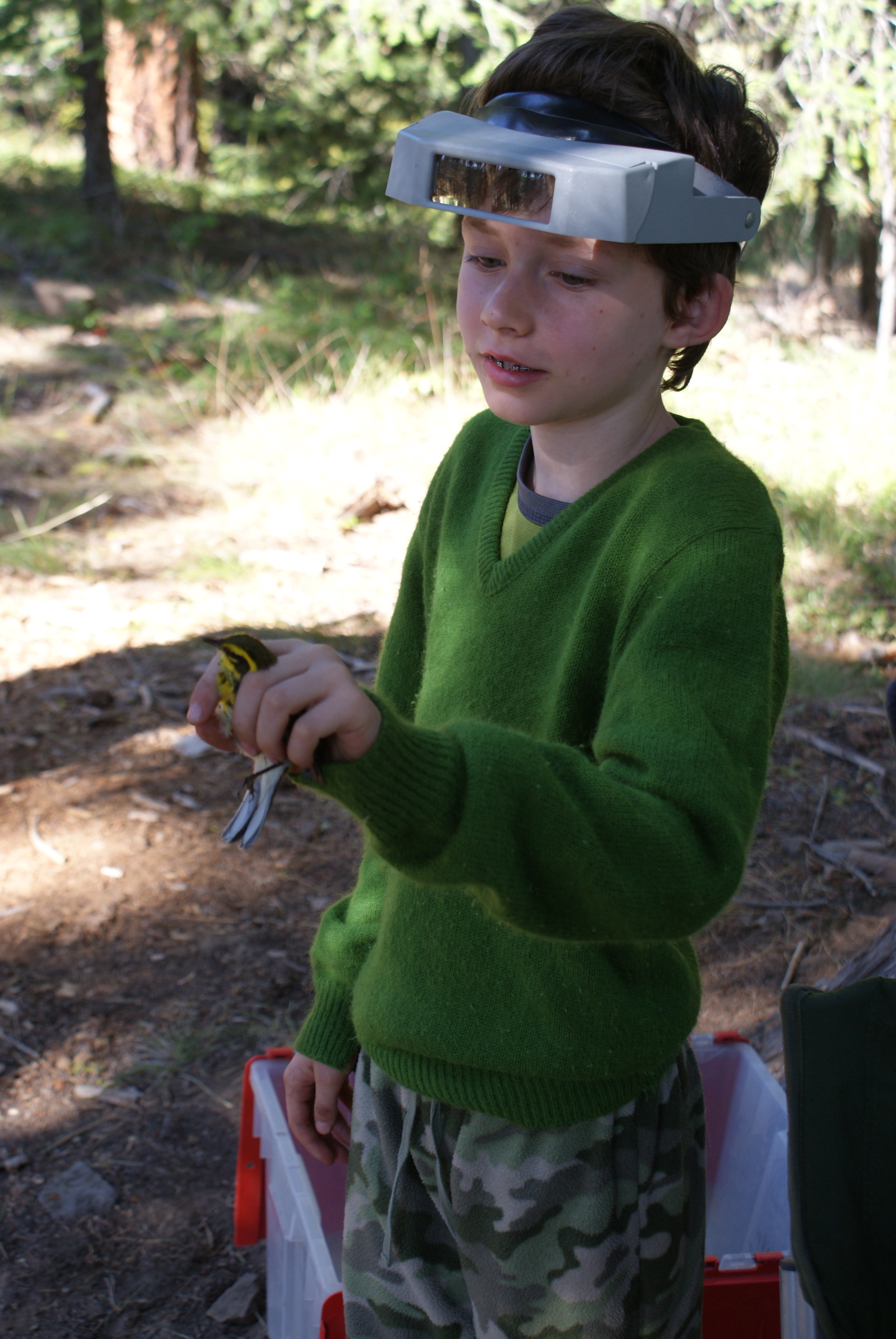 A Weekend with Birds – McDaniel Lake Camping with PSBO