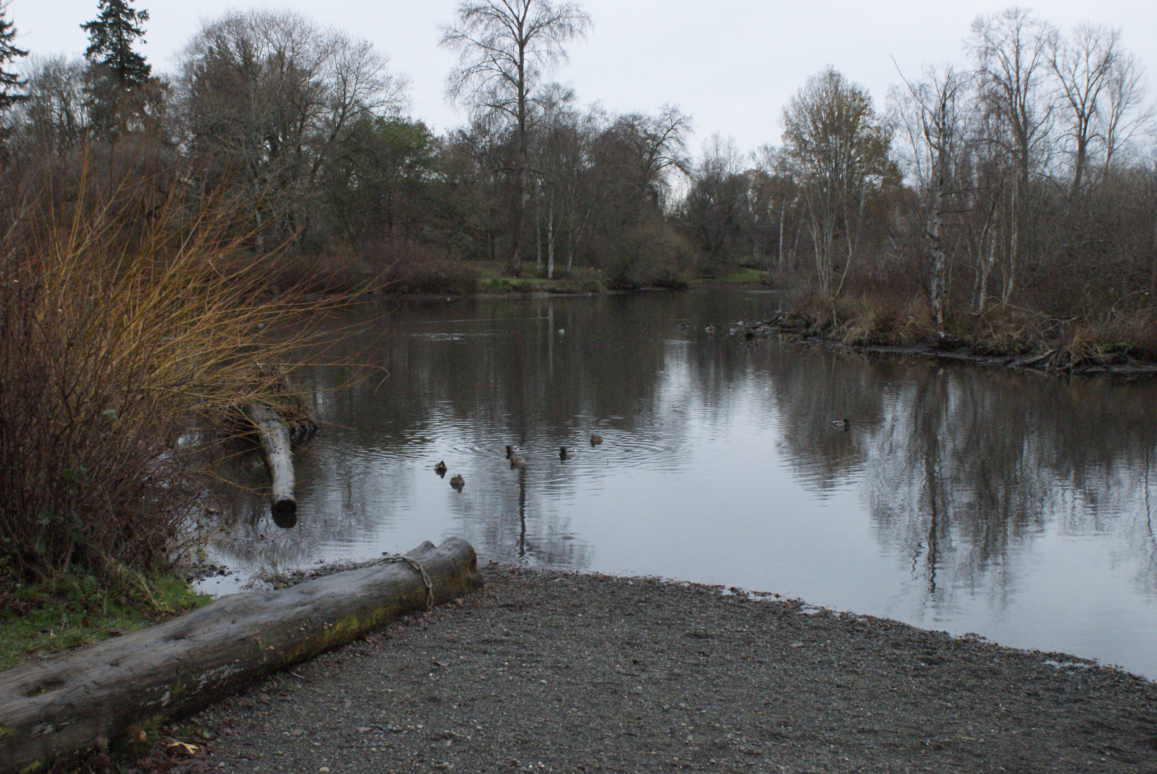 Urban Walk: The Arboretum