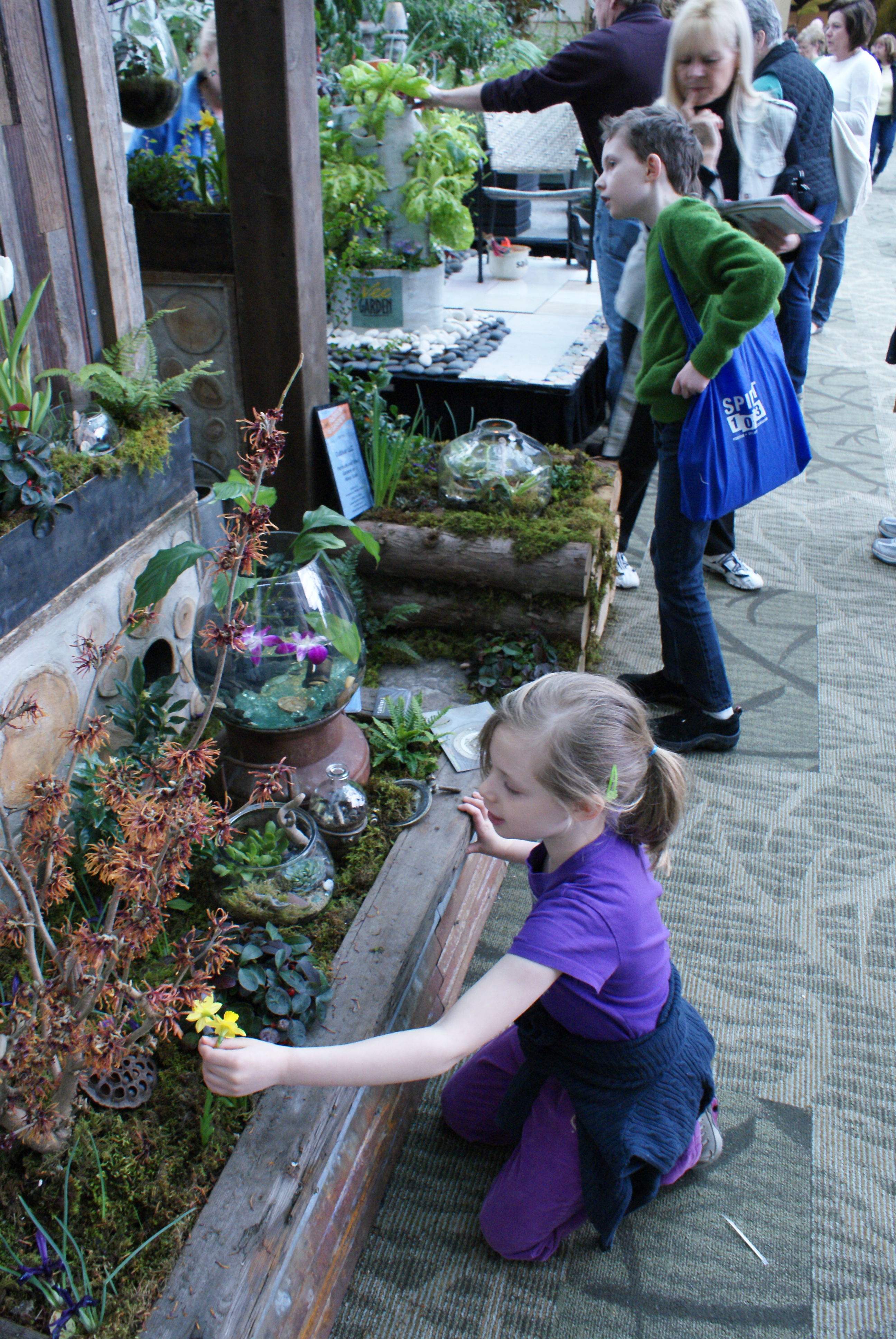 Flower and Garden Show