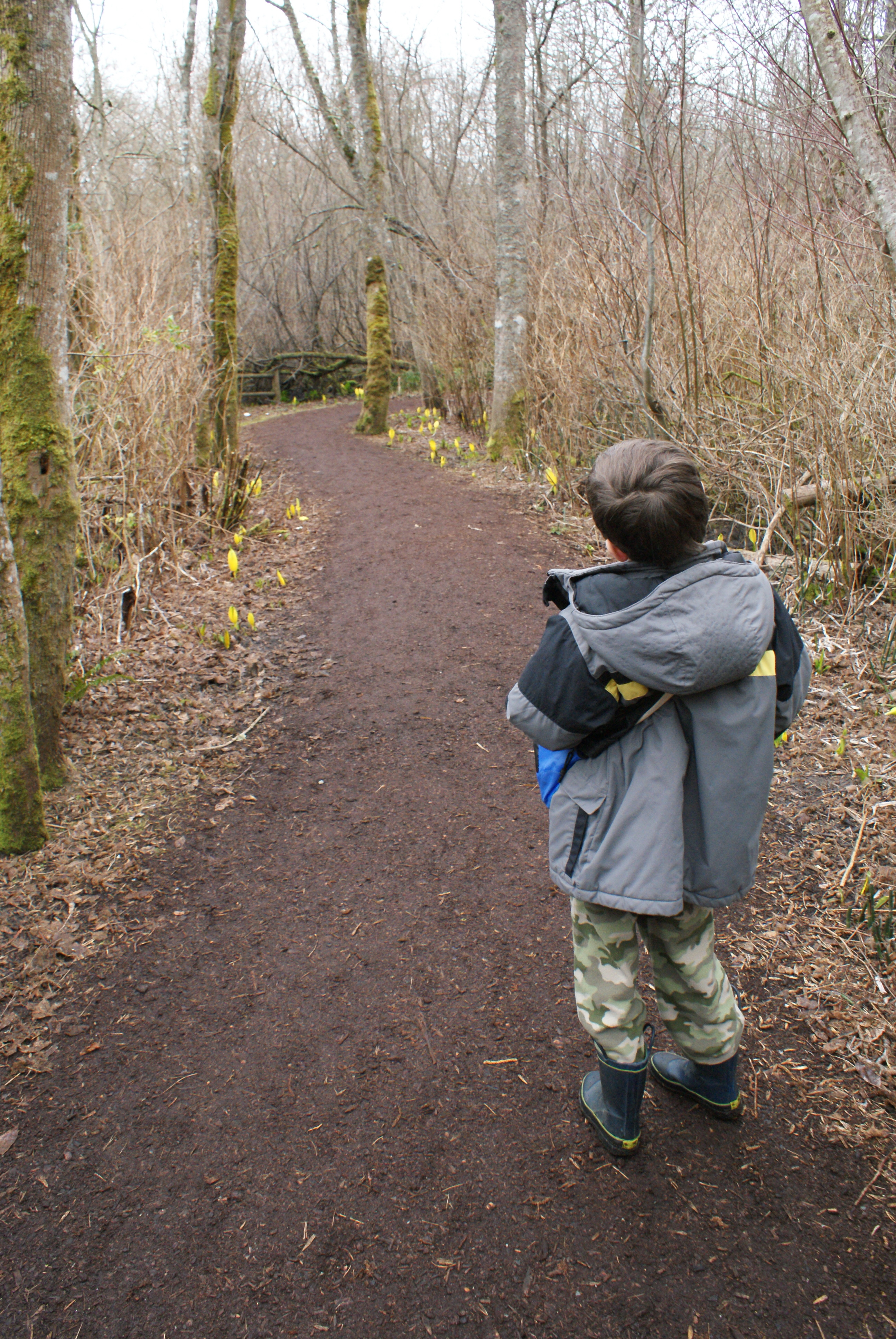 Mercer Slough Nature Walk