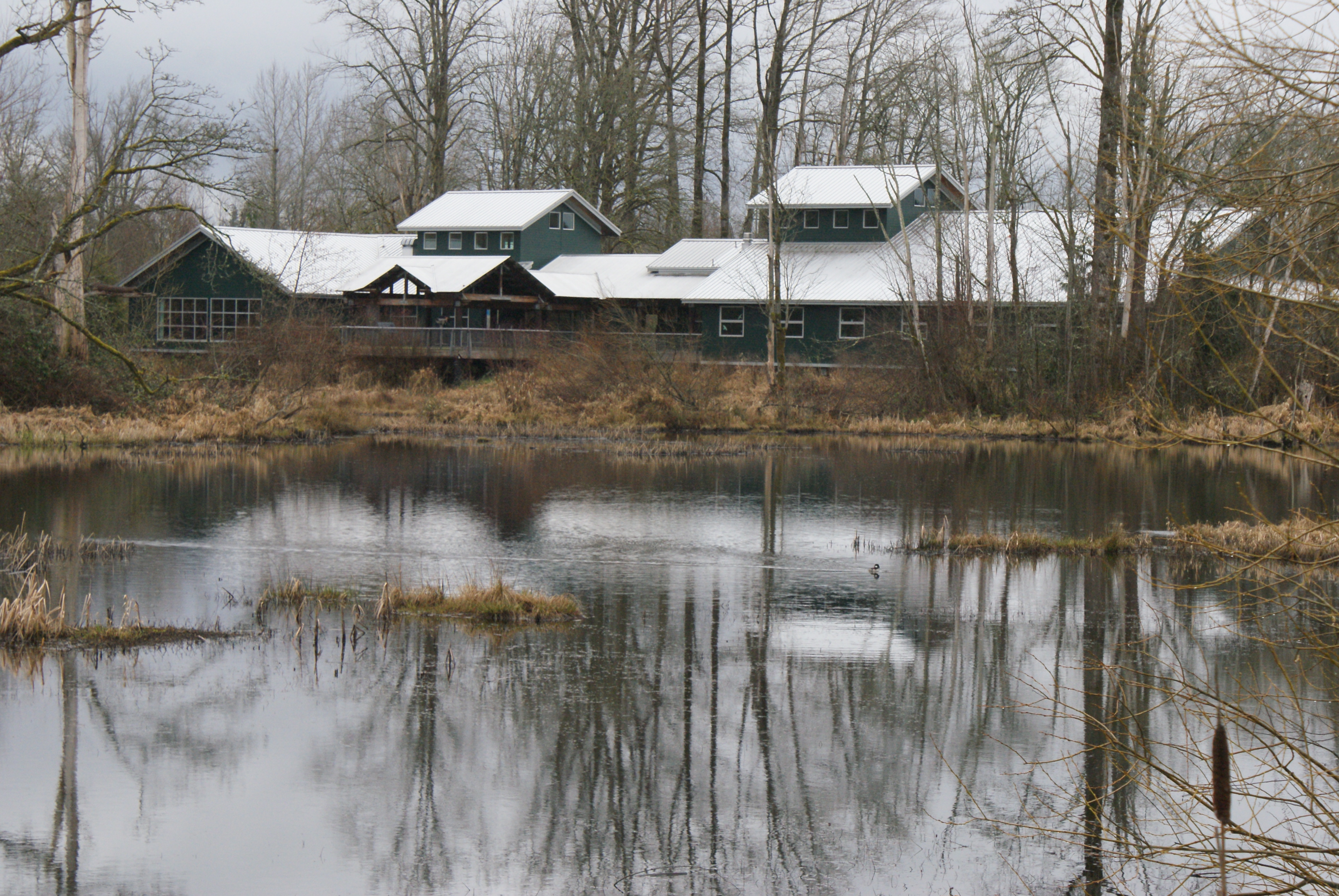 Nisqually National Wildlife Refuge