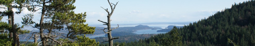 Sugarloaf Mountain