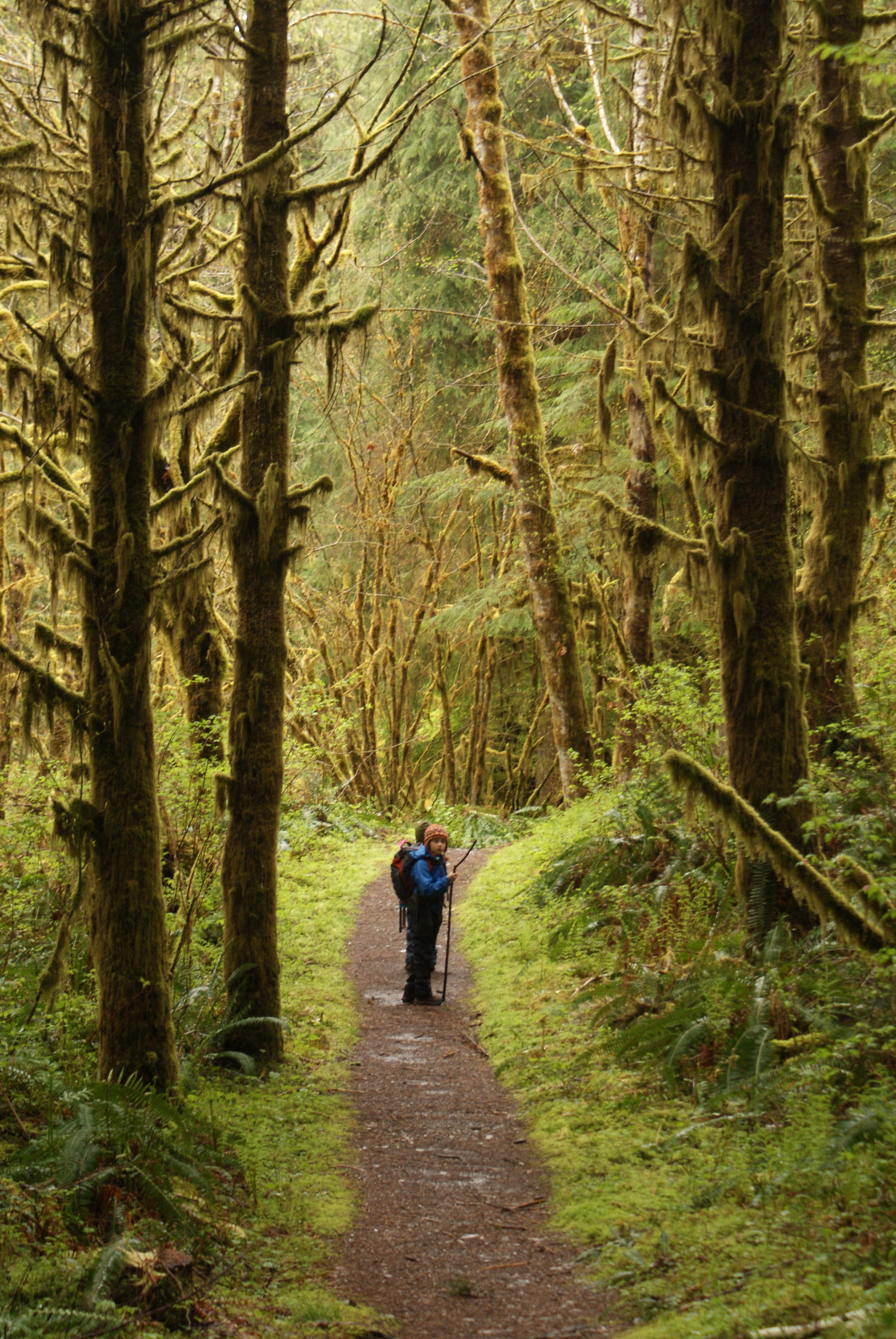 hiking kids nature green baker lake