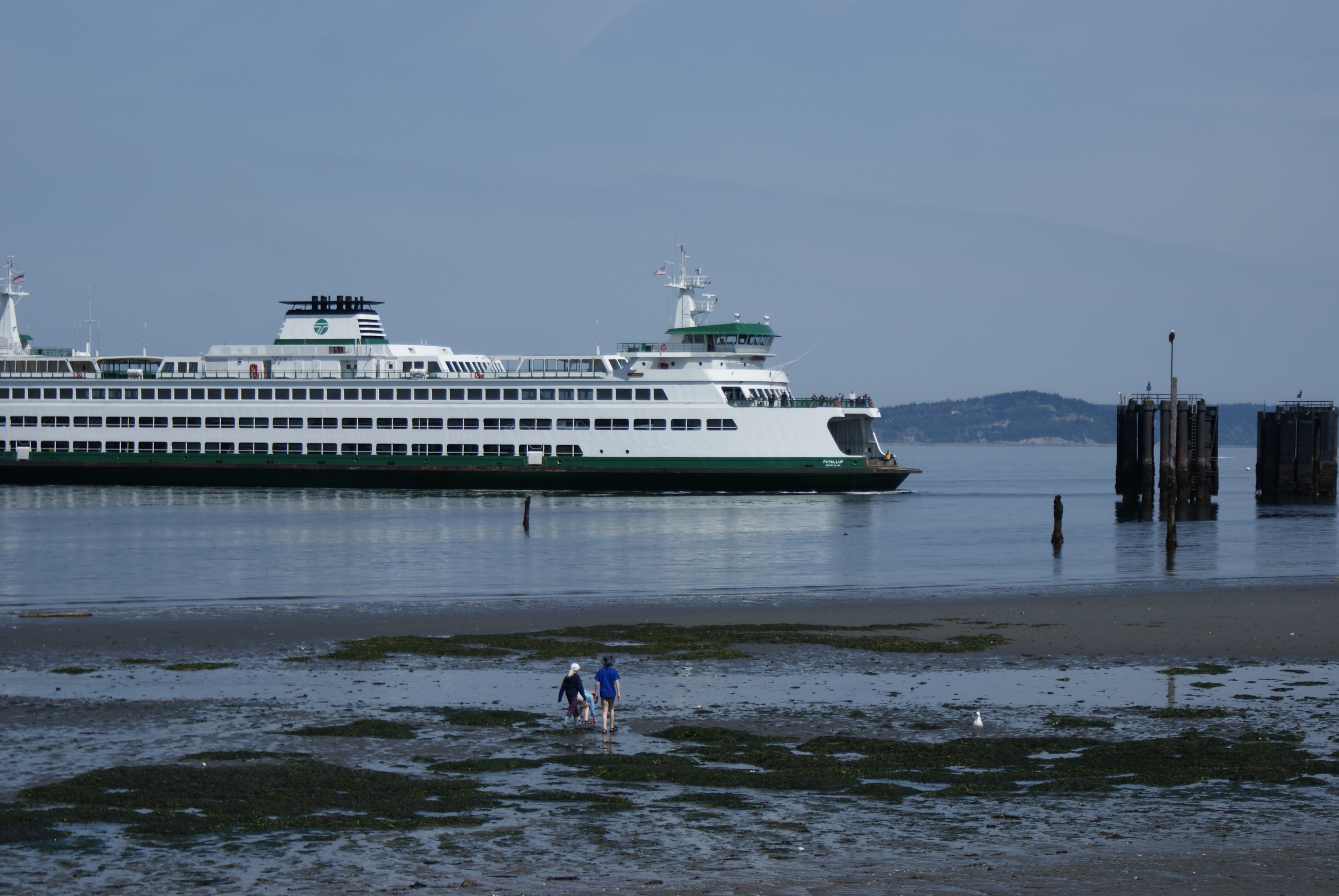 Olympic Beach, Edmonds