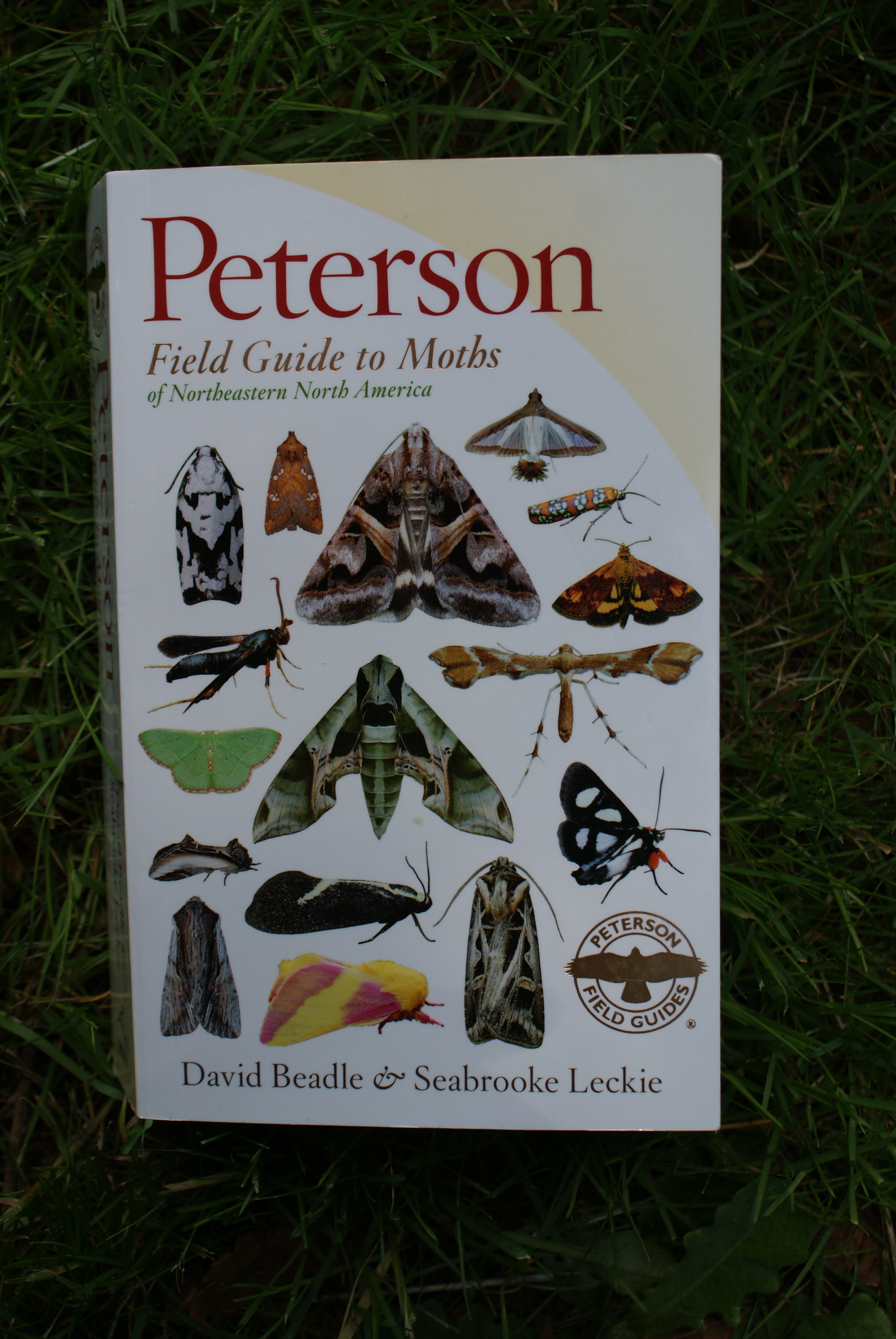 Book Review: Peterson Field Guide to Moths of NE North America