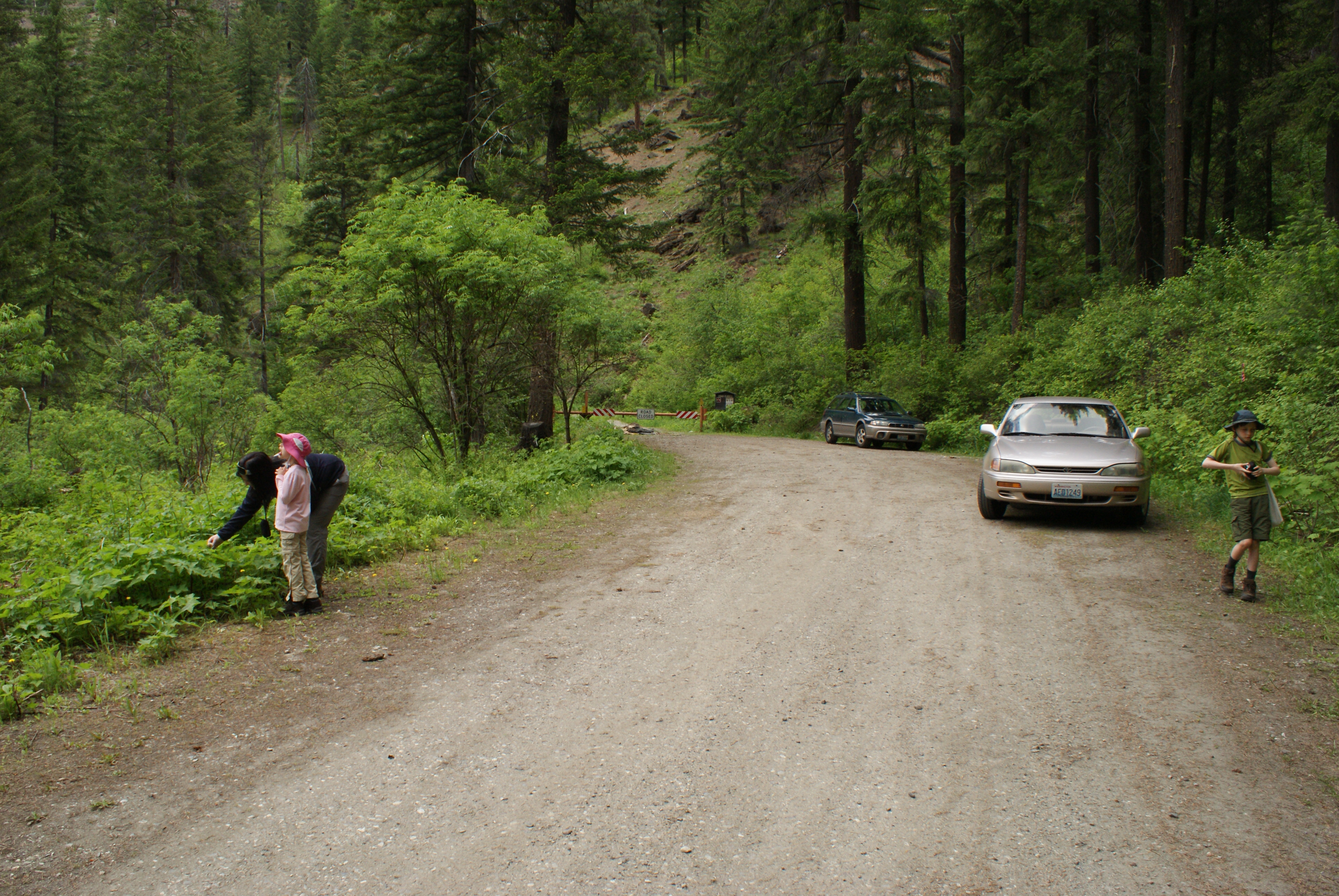 tumwater botanical area wenatchee leavenworth hiking with kids