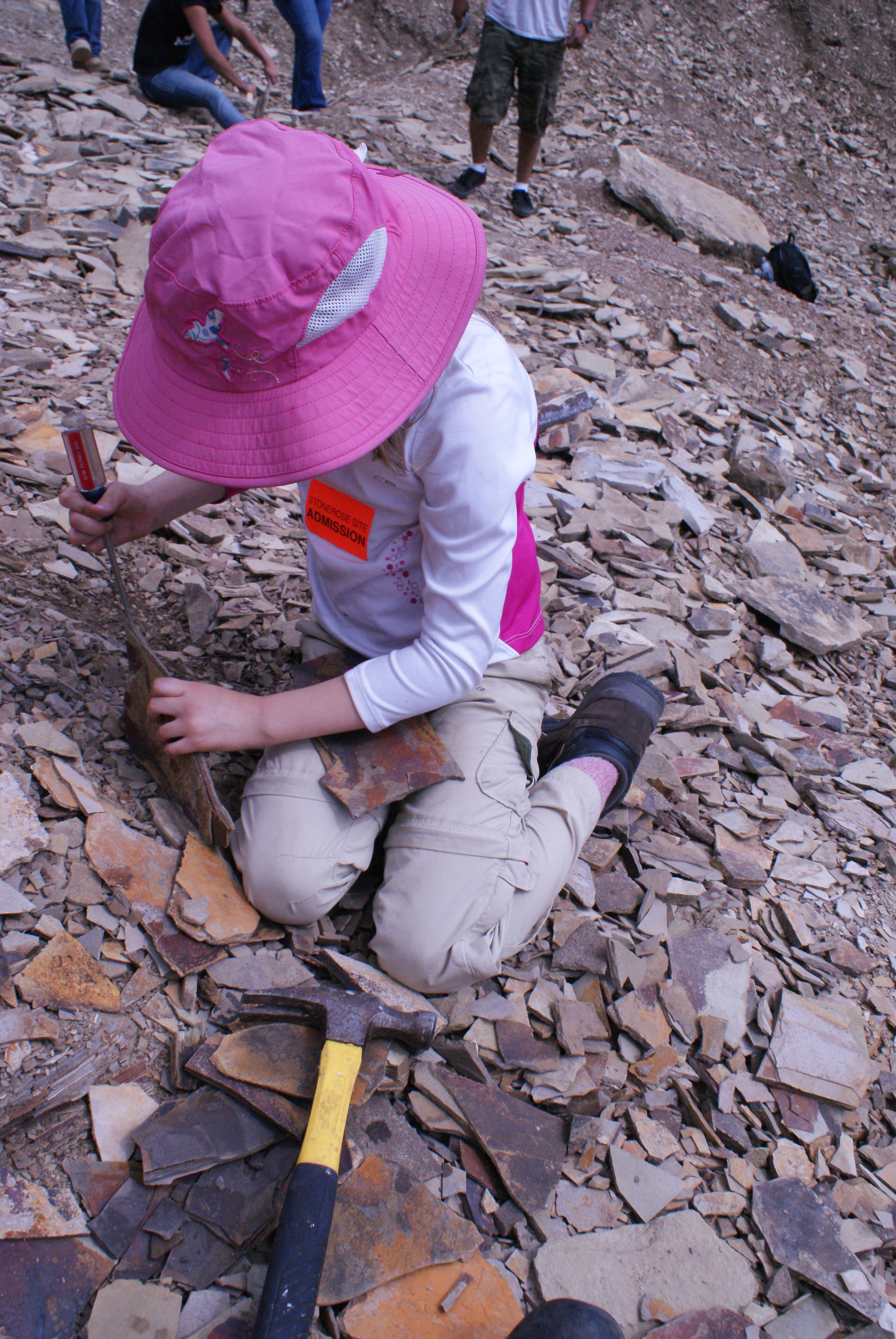 Stonerose Fossil Hunting and Camping at Klipchuck