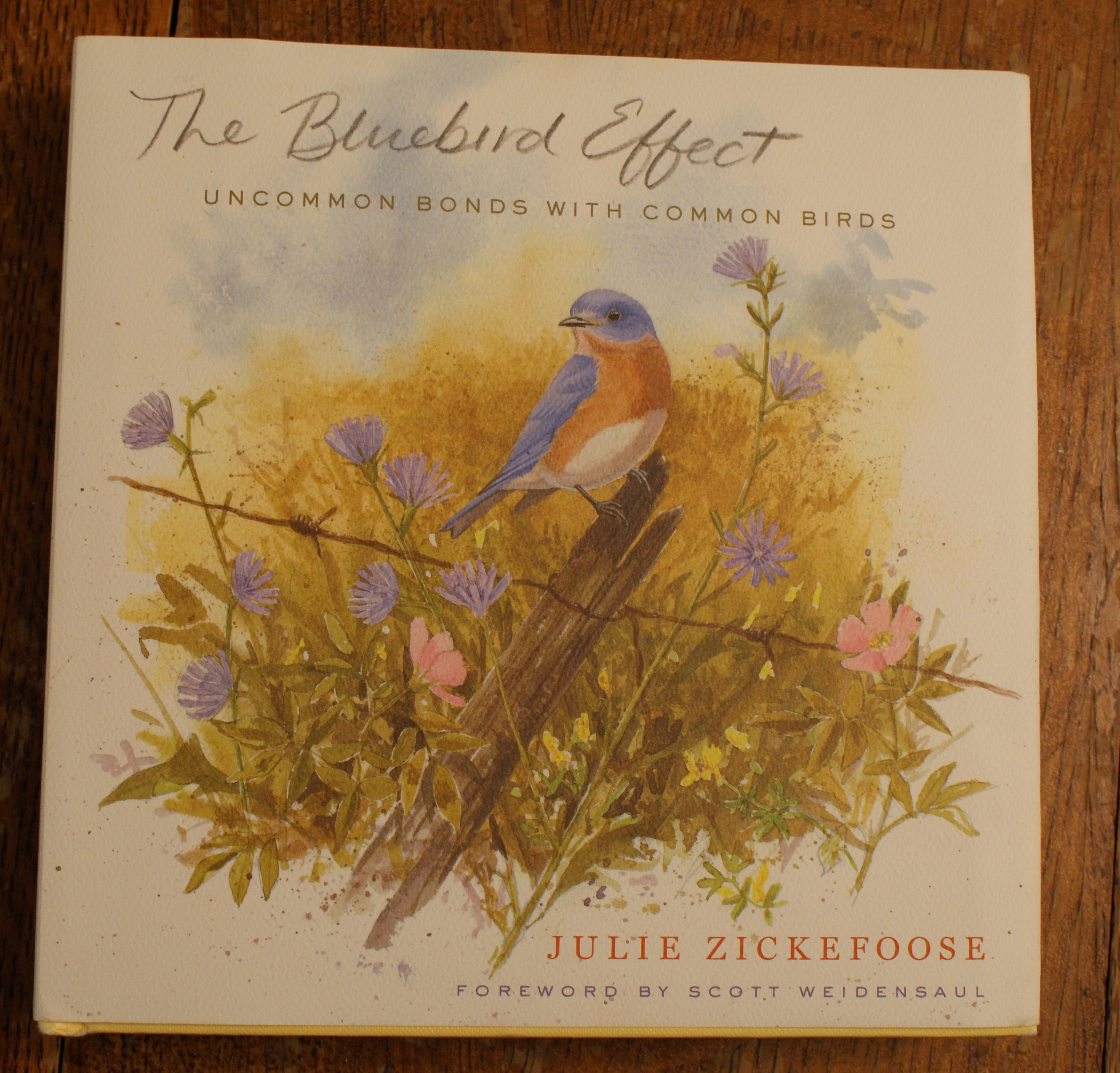 Book Review: The Bluebird Effect, and Interview with Julie Zickefoose