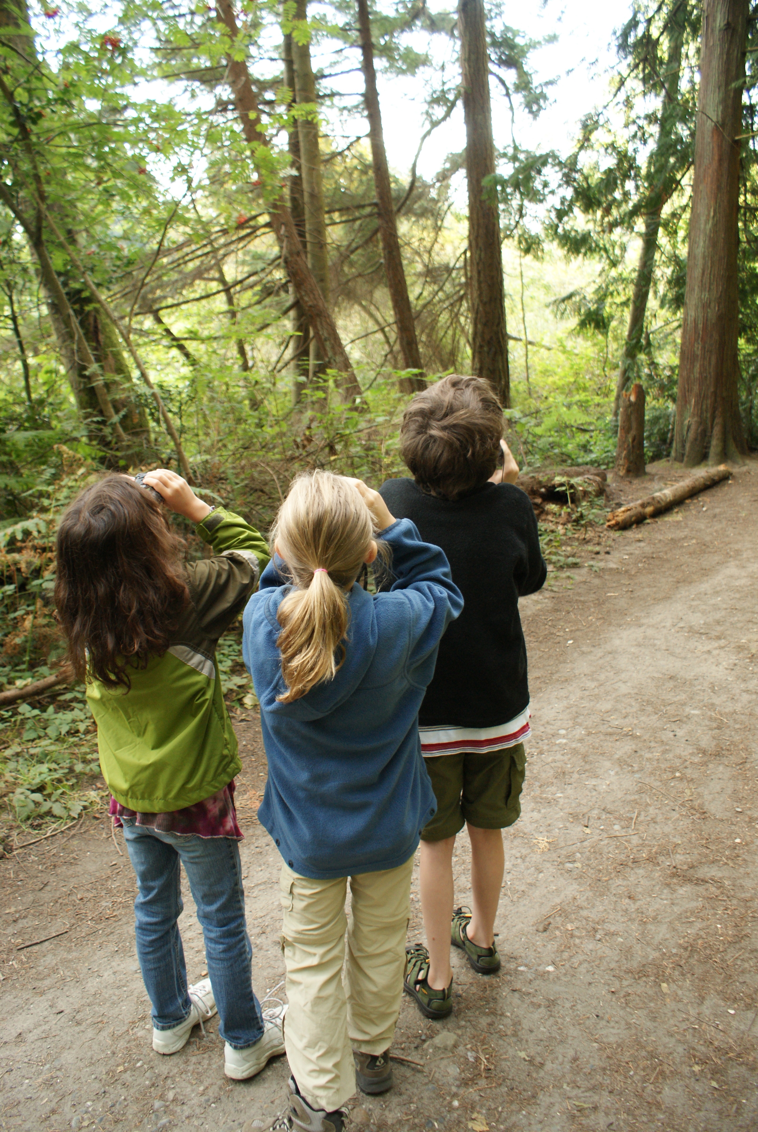 birding, bird watching, kids in nature, Pine Ridge Park, Edmonds