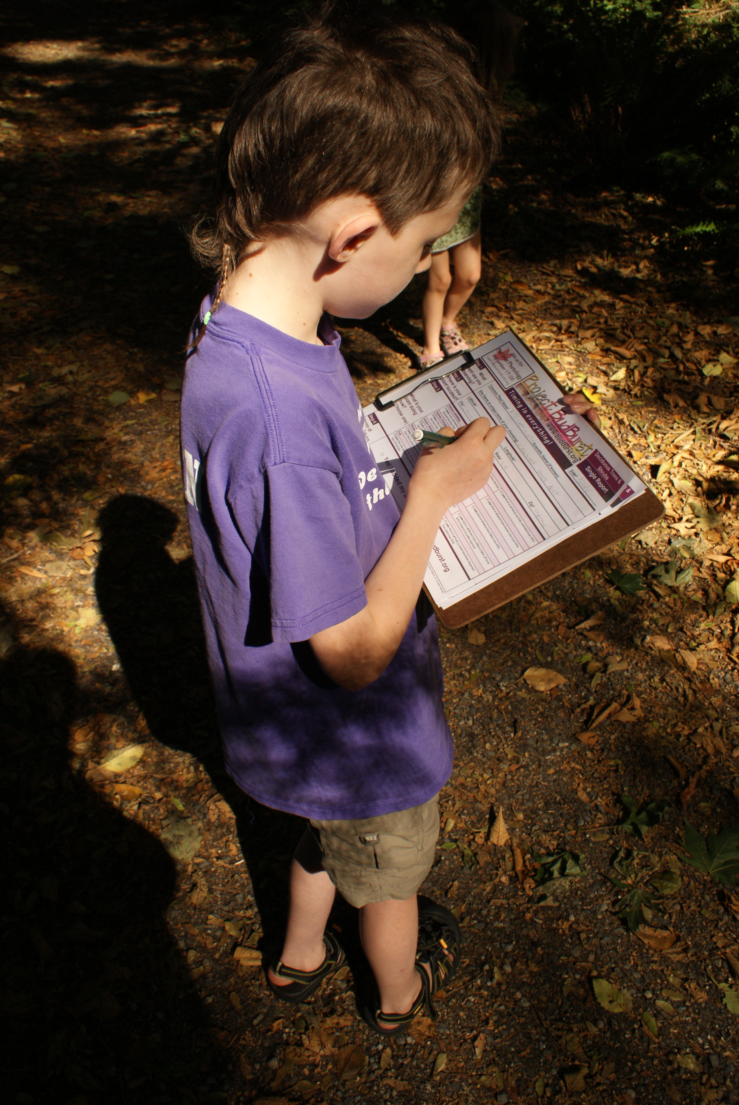 citizen science, project bud burst