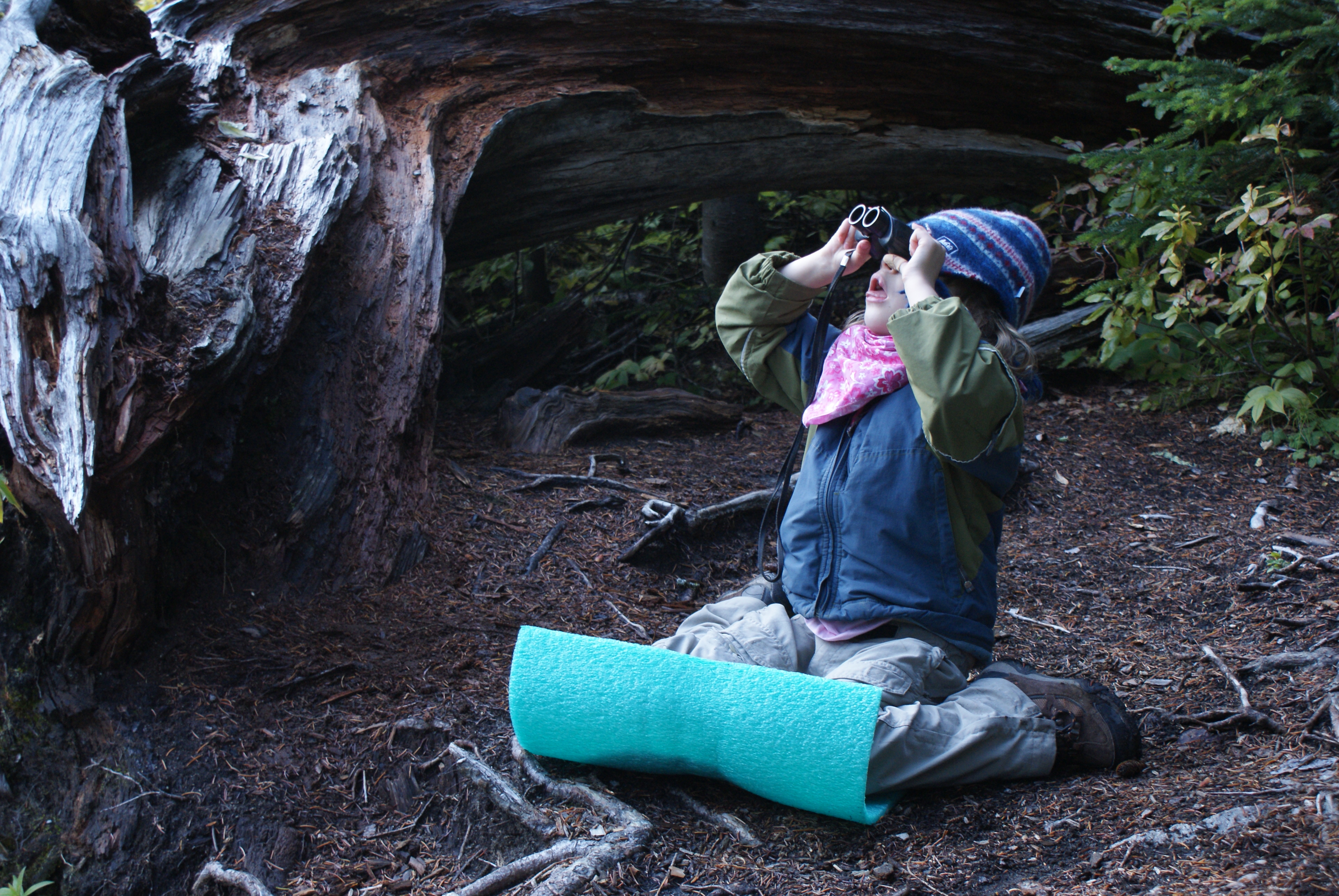 hiking with children, north cascades, Highway 20 hikes, fall hiking gear