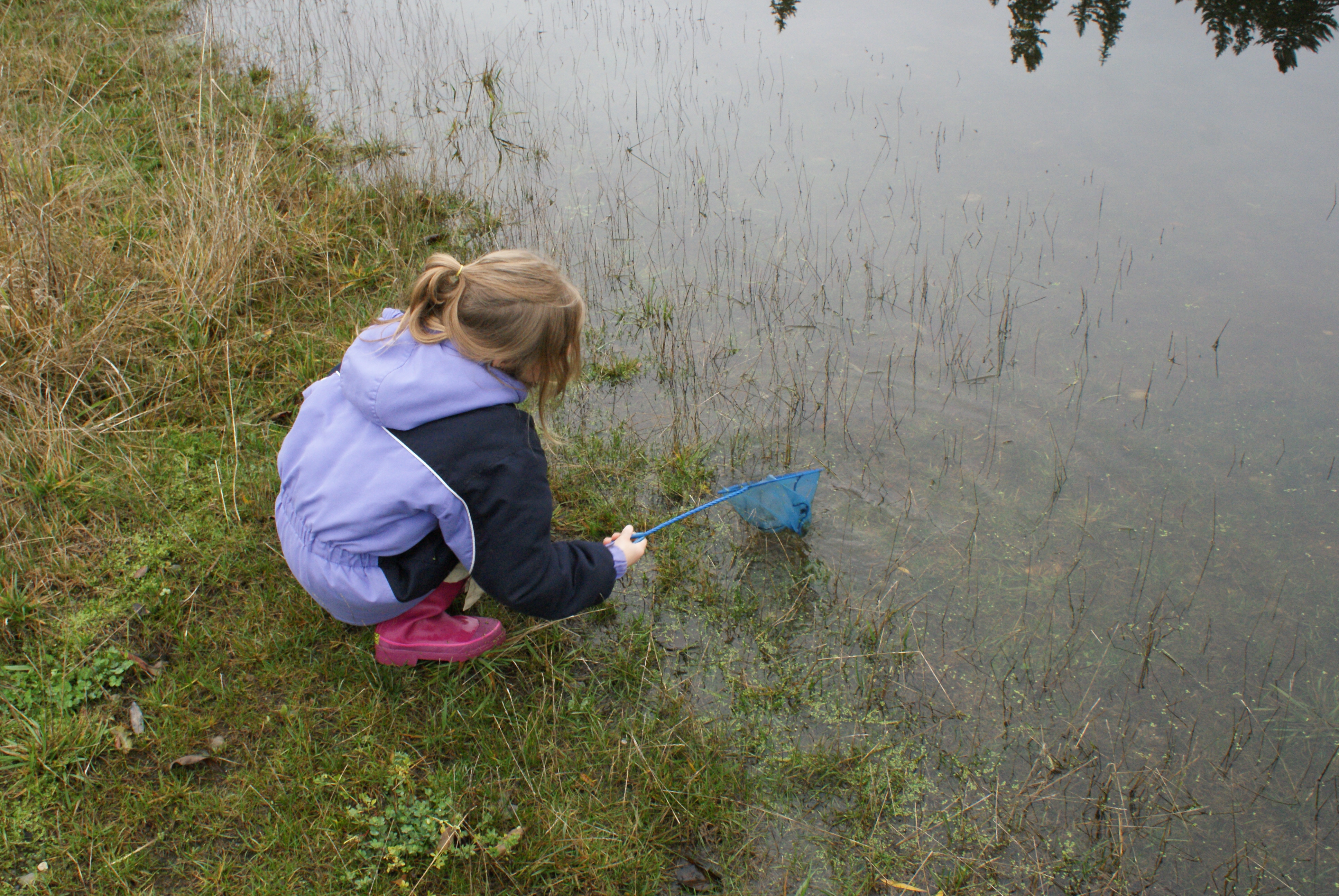 nature exploration, brightwater treatment plant, environmental education, kids in nature