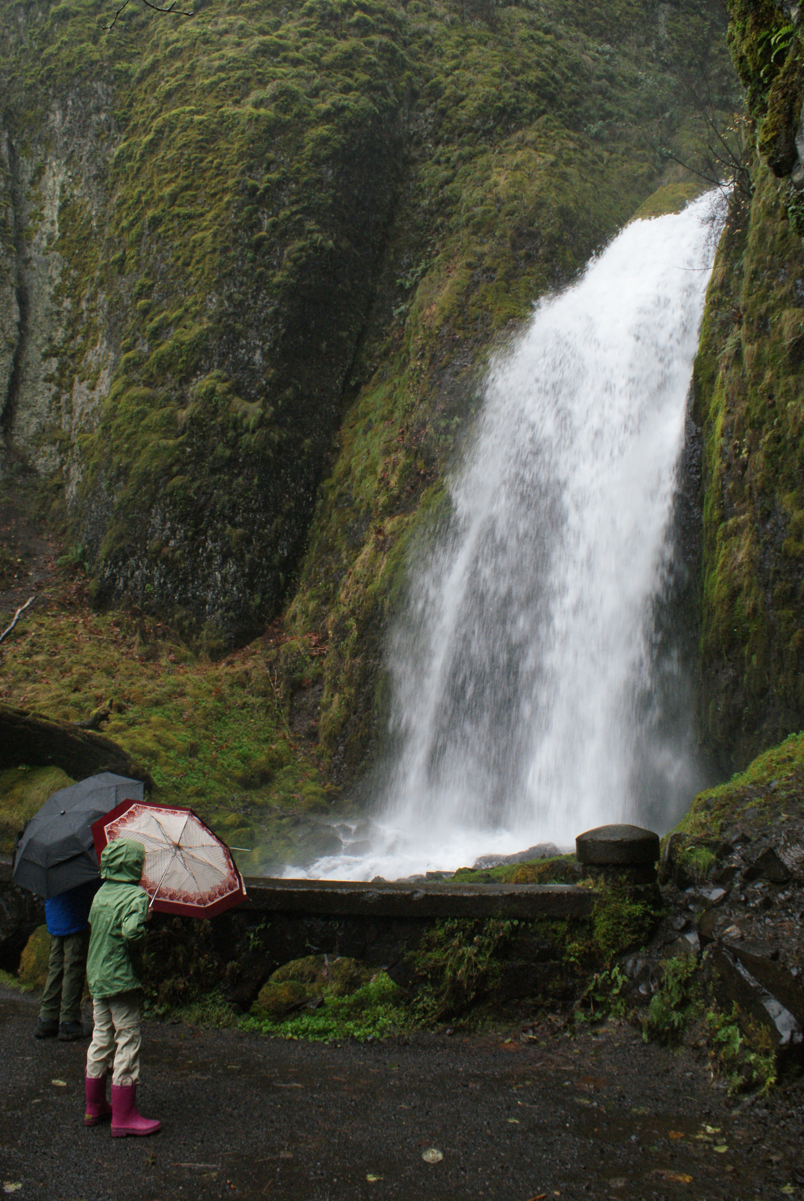 columbia river gorge hiking, hiking with children, rainy day hiking