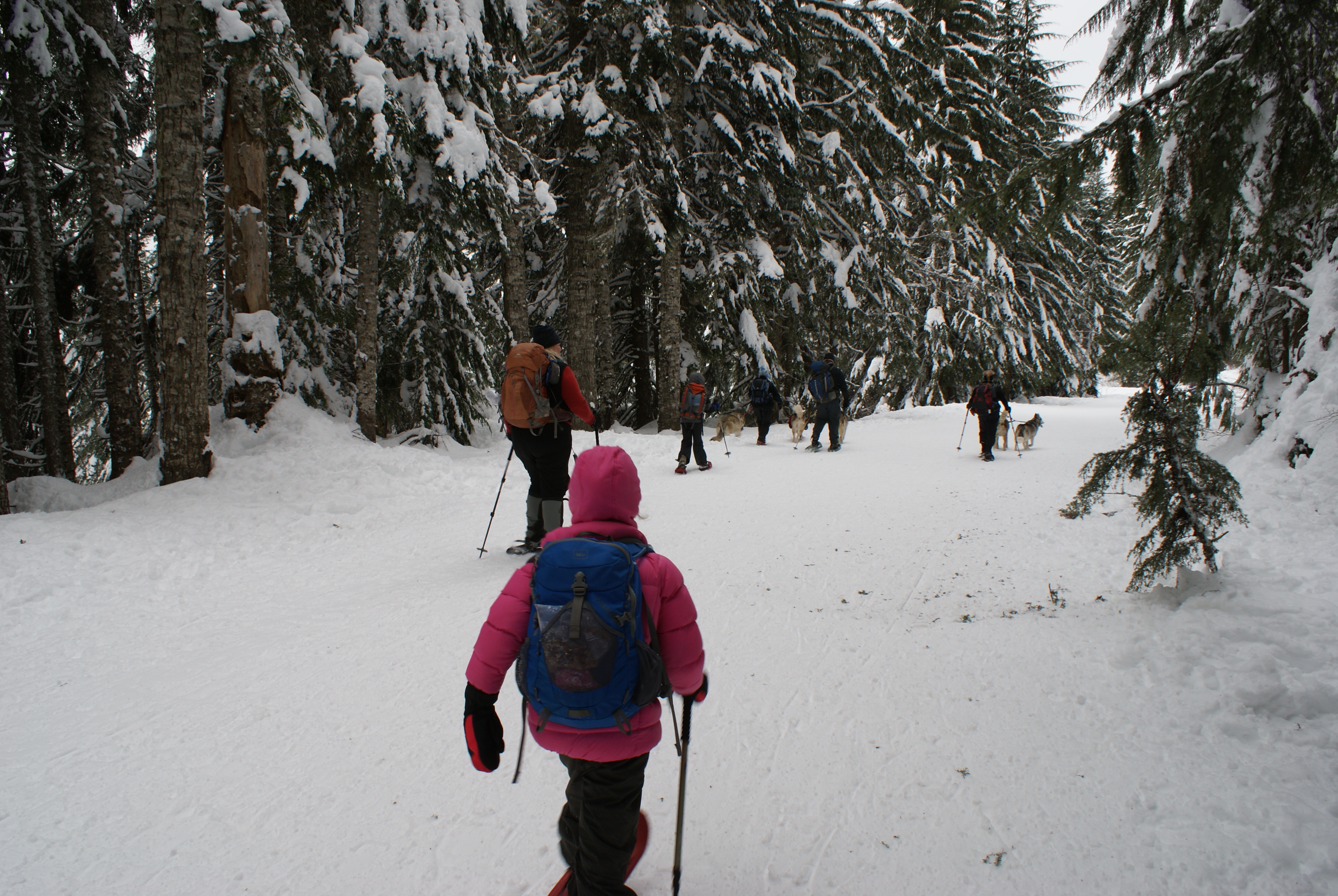 Gold Creek Snowshoe, snow shoeing with children, kids winter sports