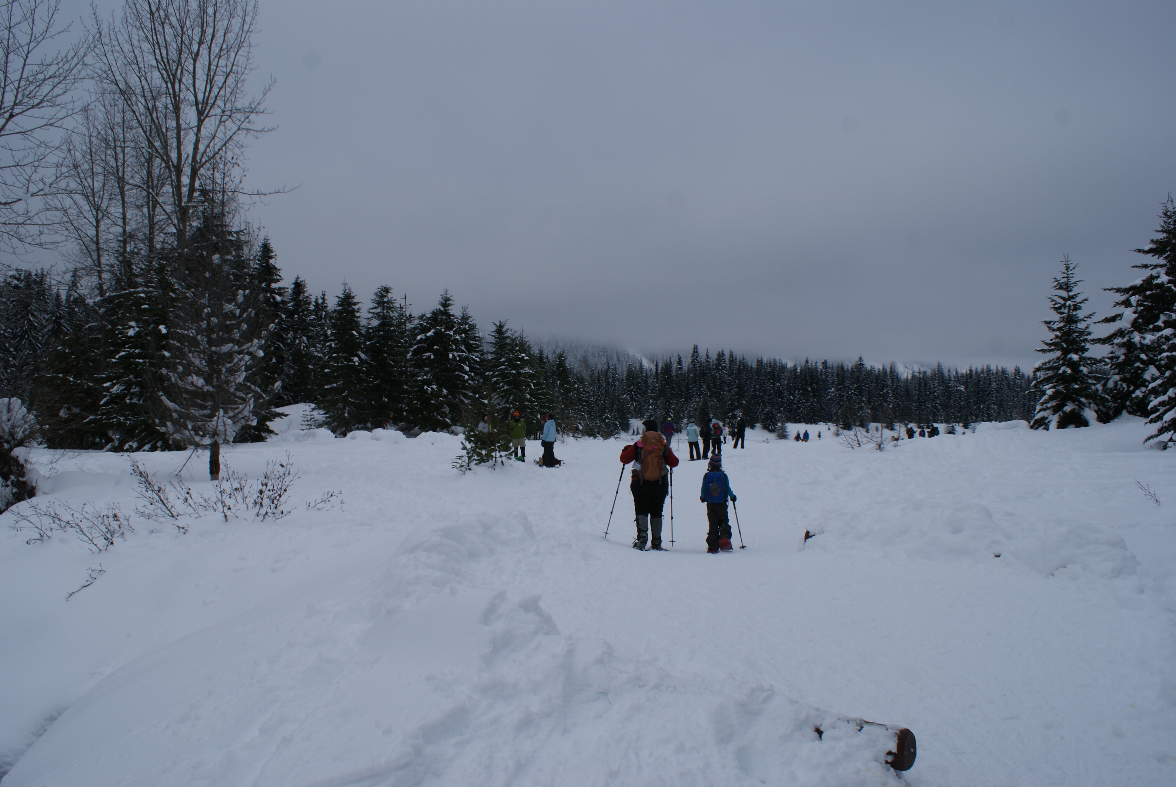 snowshoeing with children, snoqualmie pass, winter hiking kids