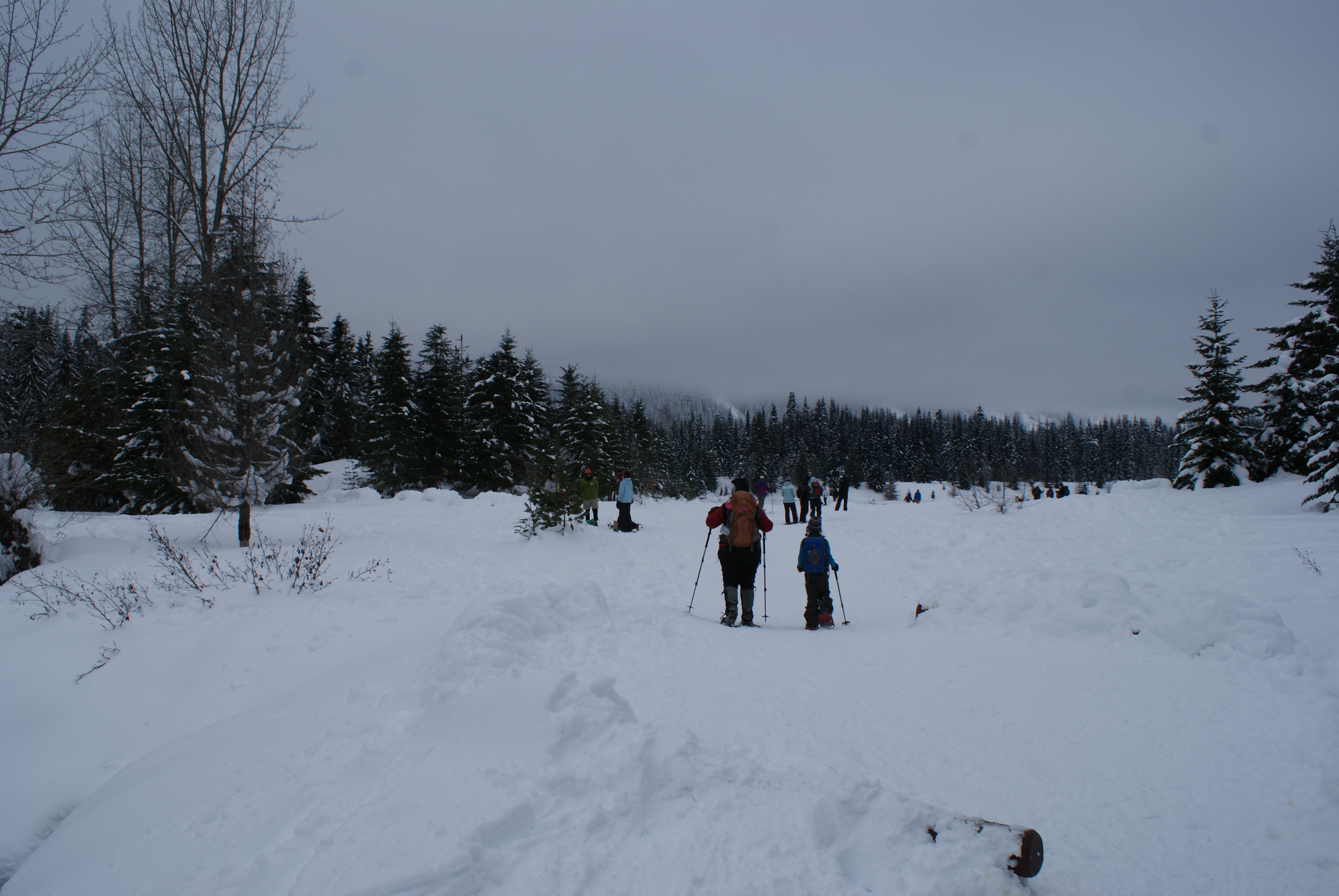 Gold Creek Pond Snowshoe Trip Report