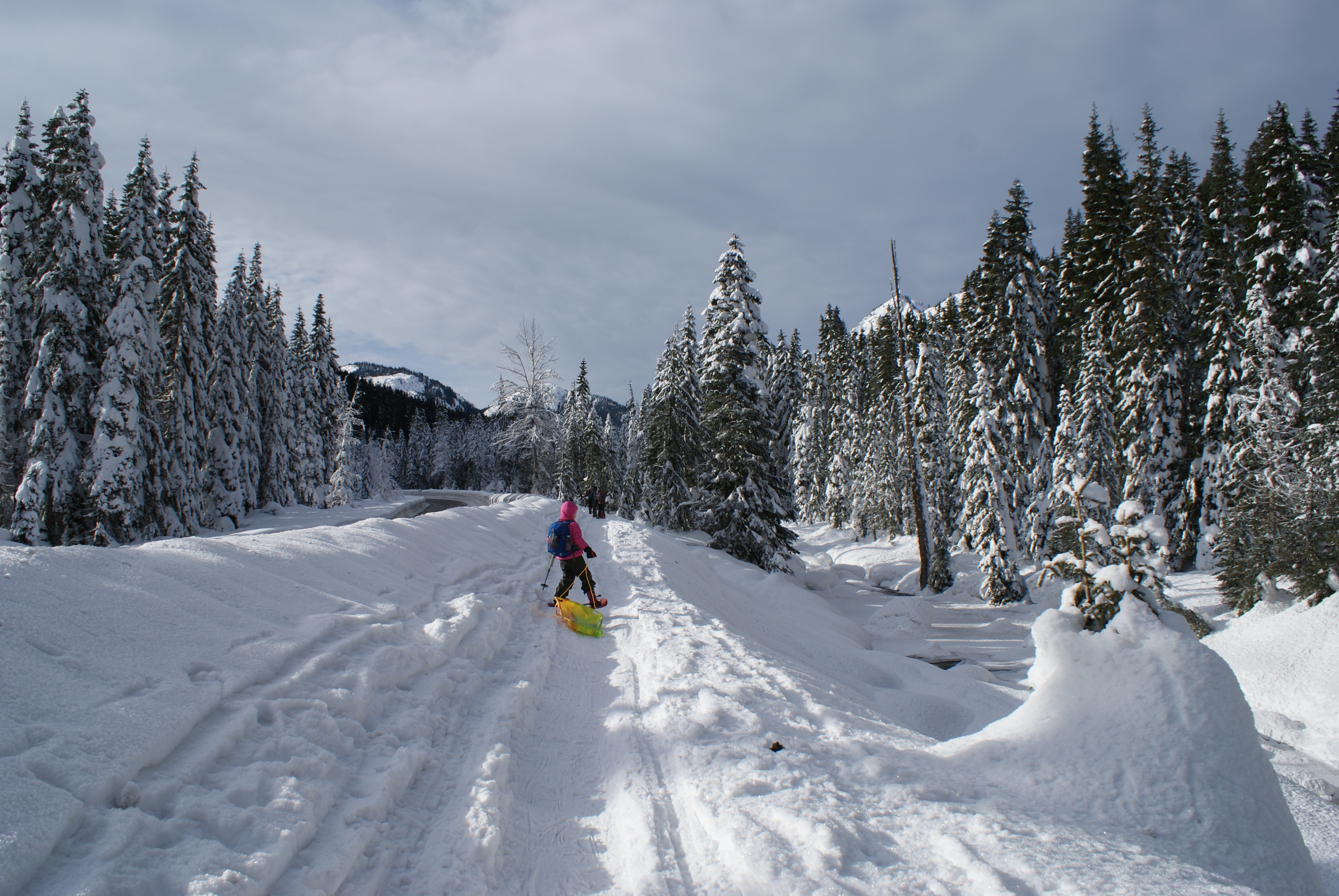 snowshoeing with children, winter kid hikes, smithbrook road,
