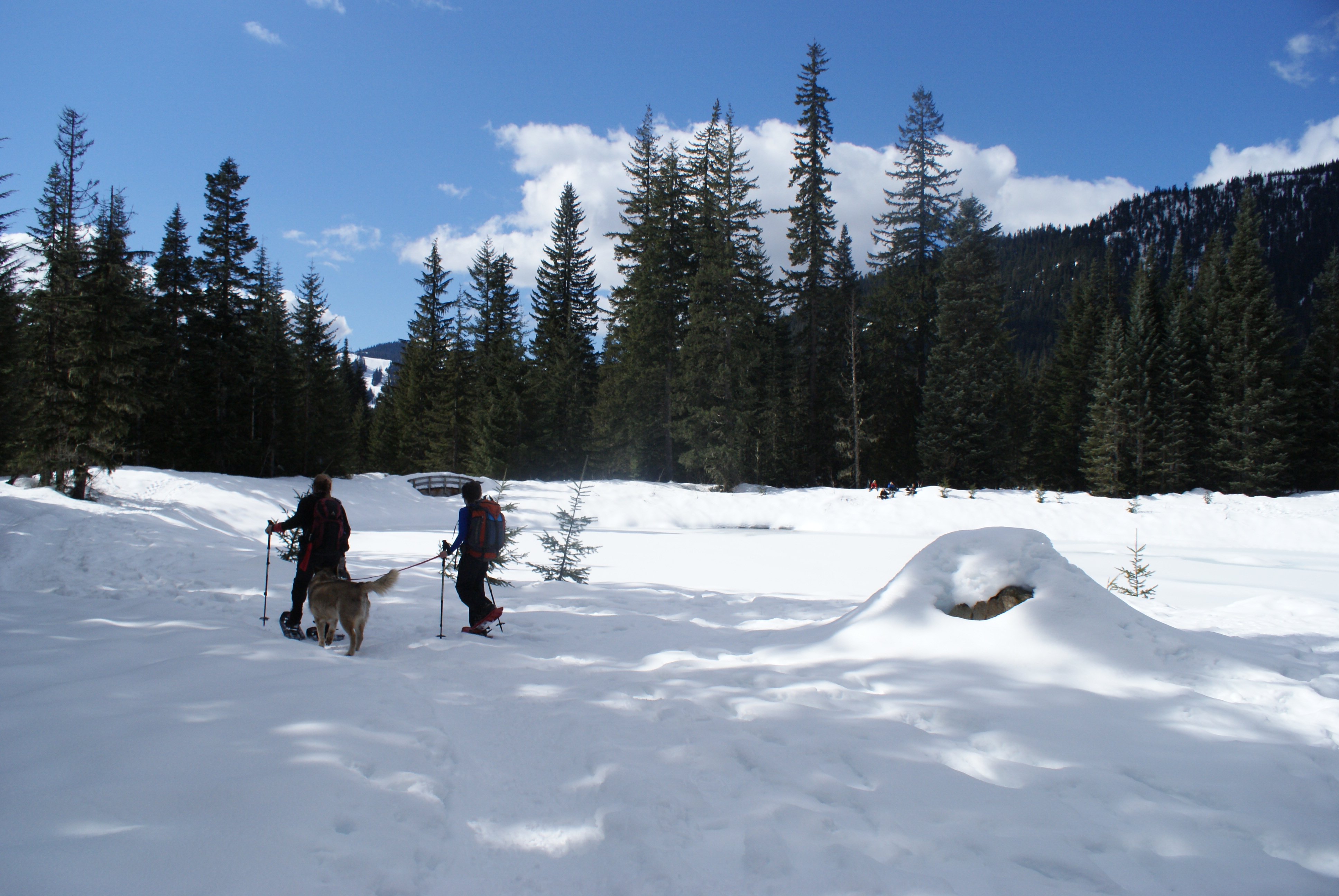 Gold Creek, snowshoeing with children, winter hiking