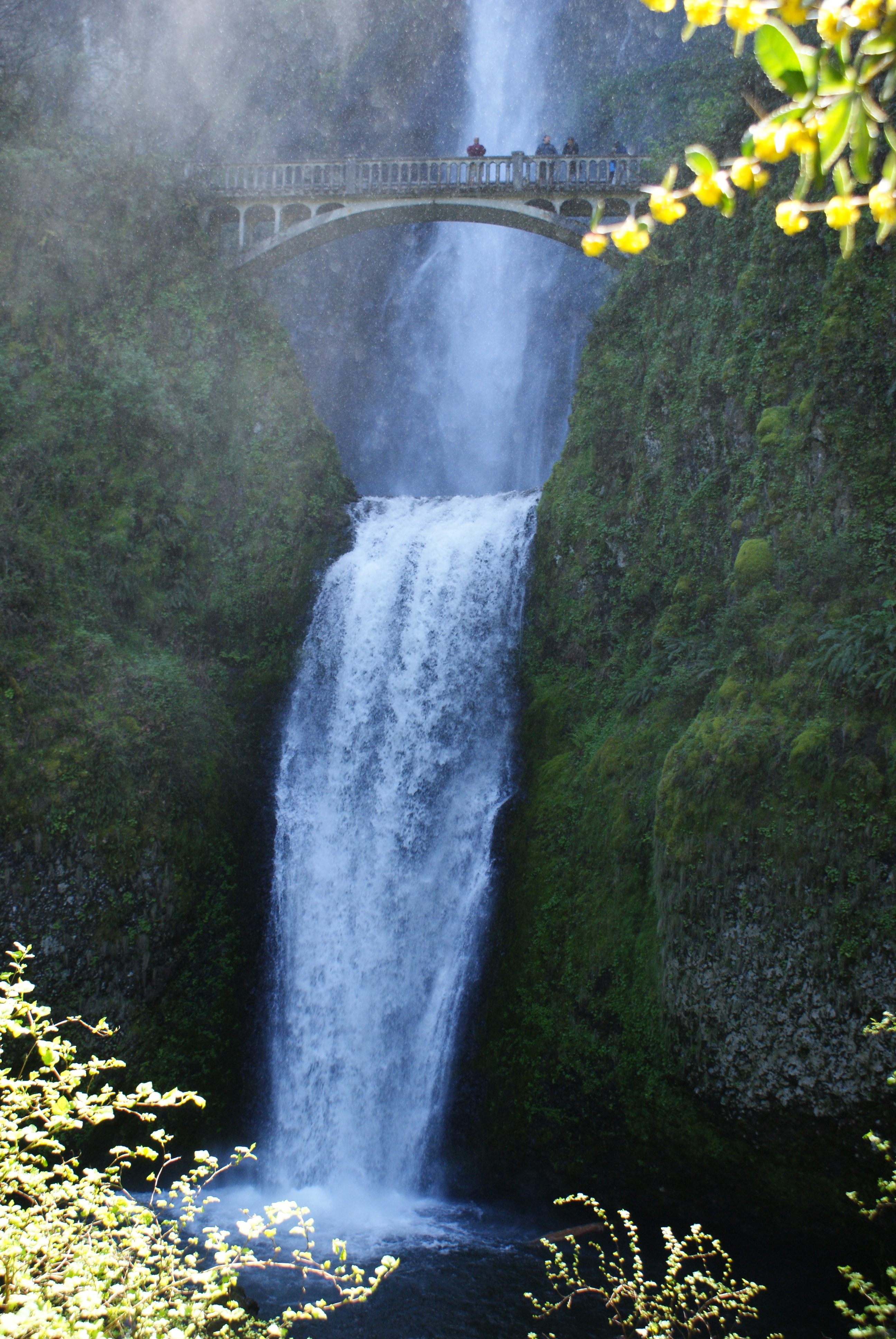 Columbia gorge, waterfall