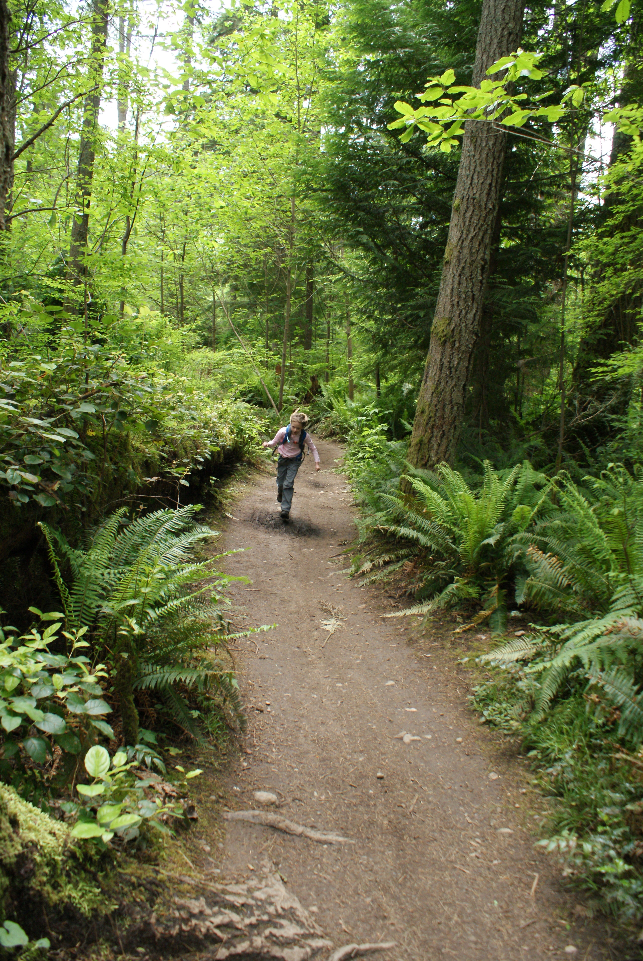 paradise valley conservation area, hiking with kids, urban hikes