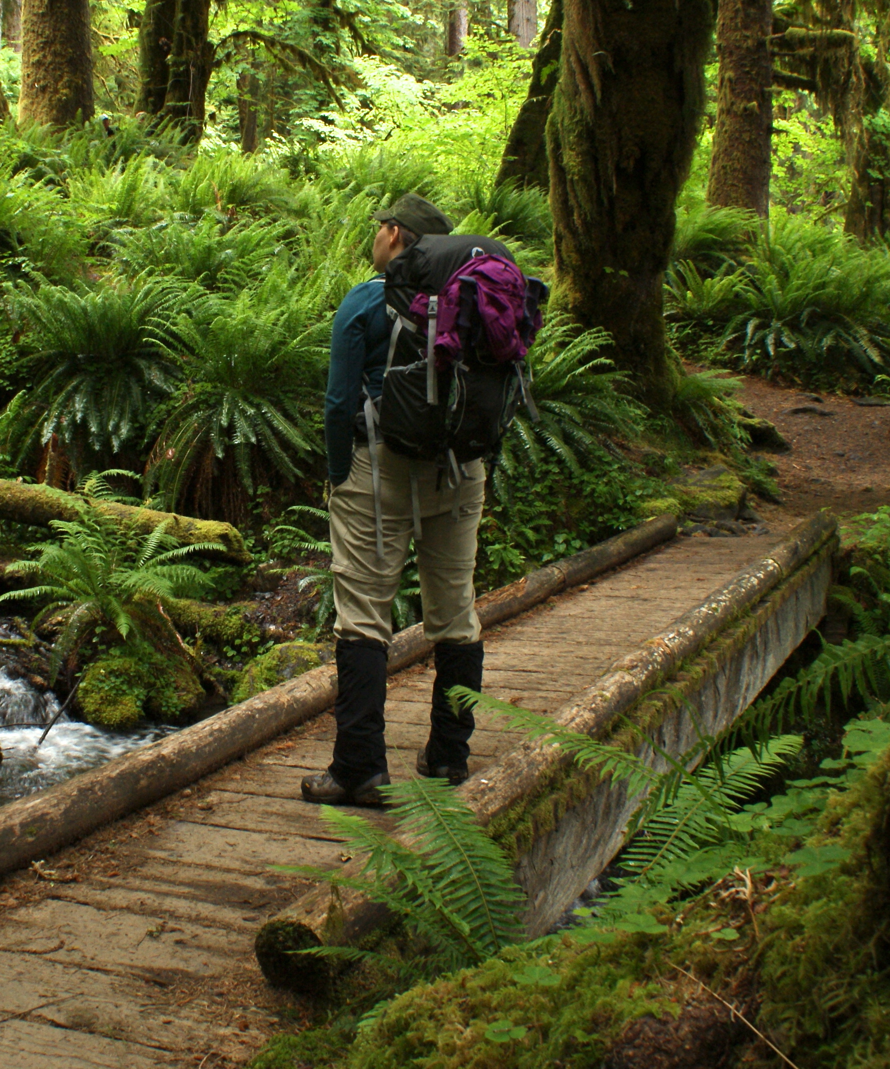 camera backpack, camera gear