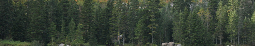 Heather Lake Hike, 10/4/13