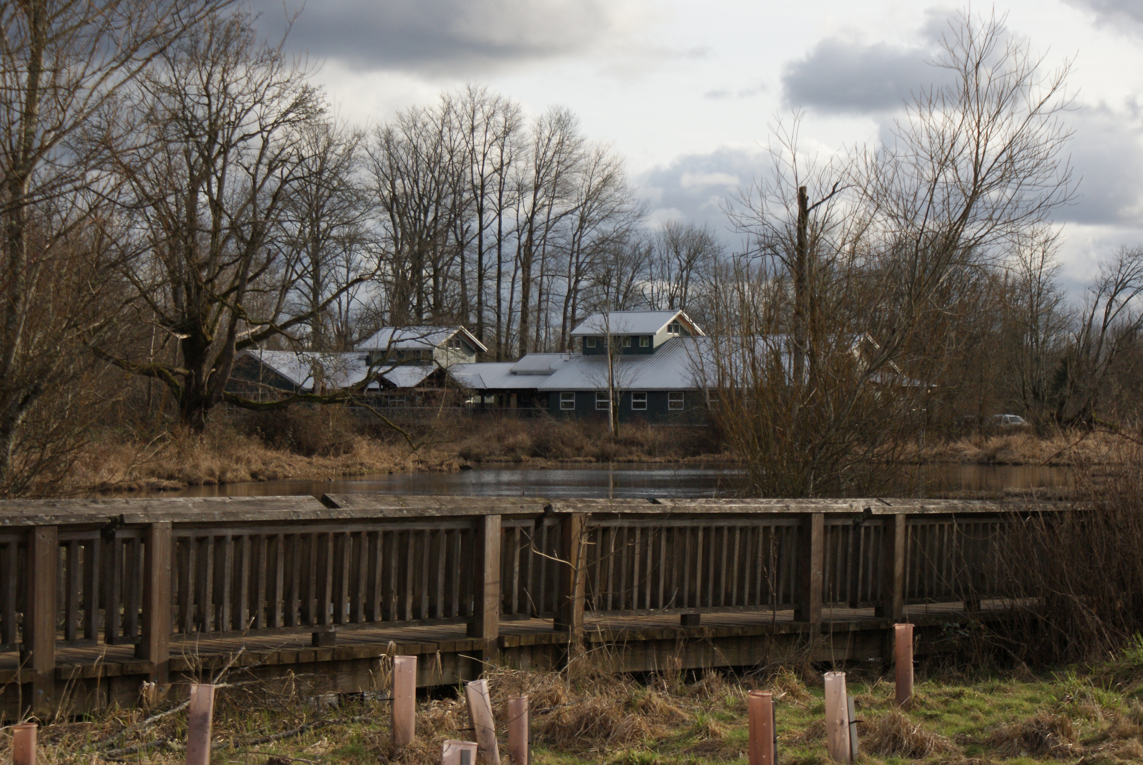 urban hikes, birding with children,