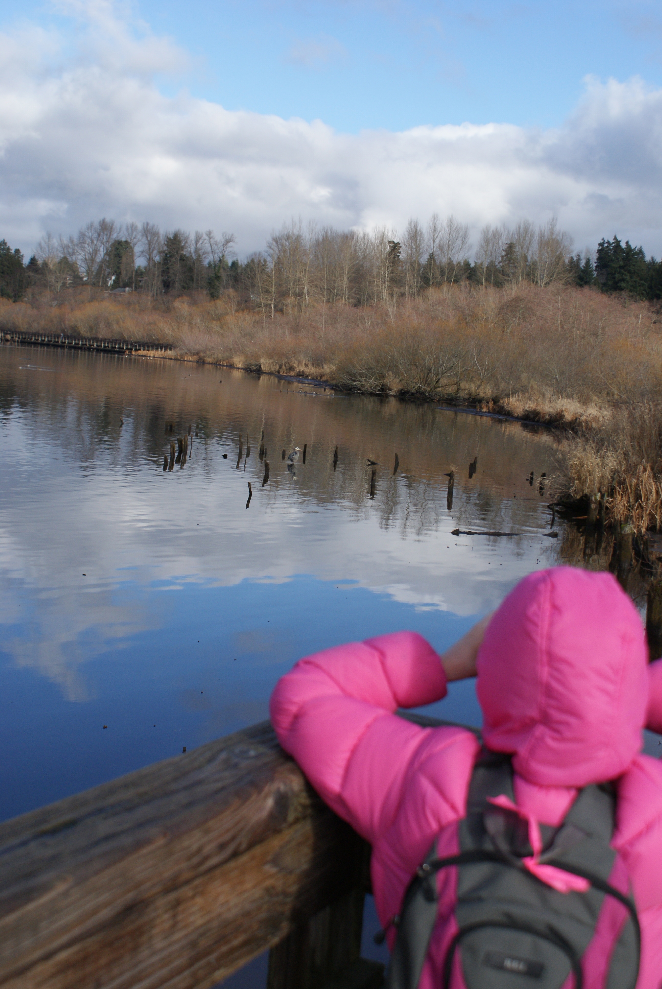 2014 Great Backyard Bird Count