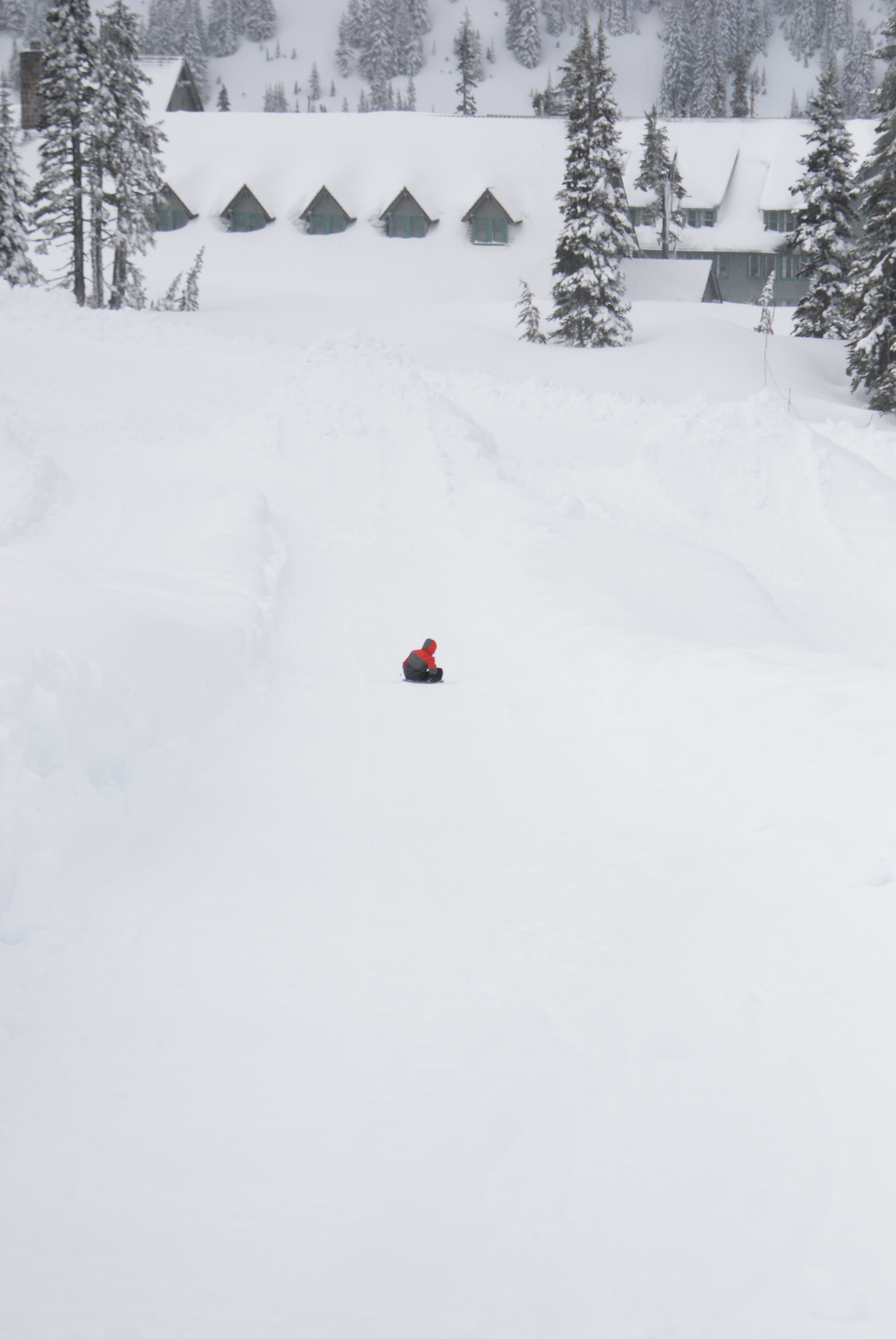 winter paradise mount rainier sledding