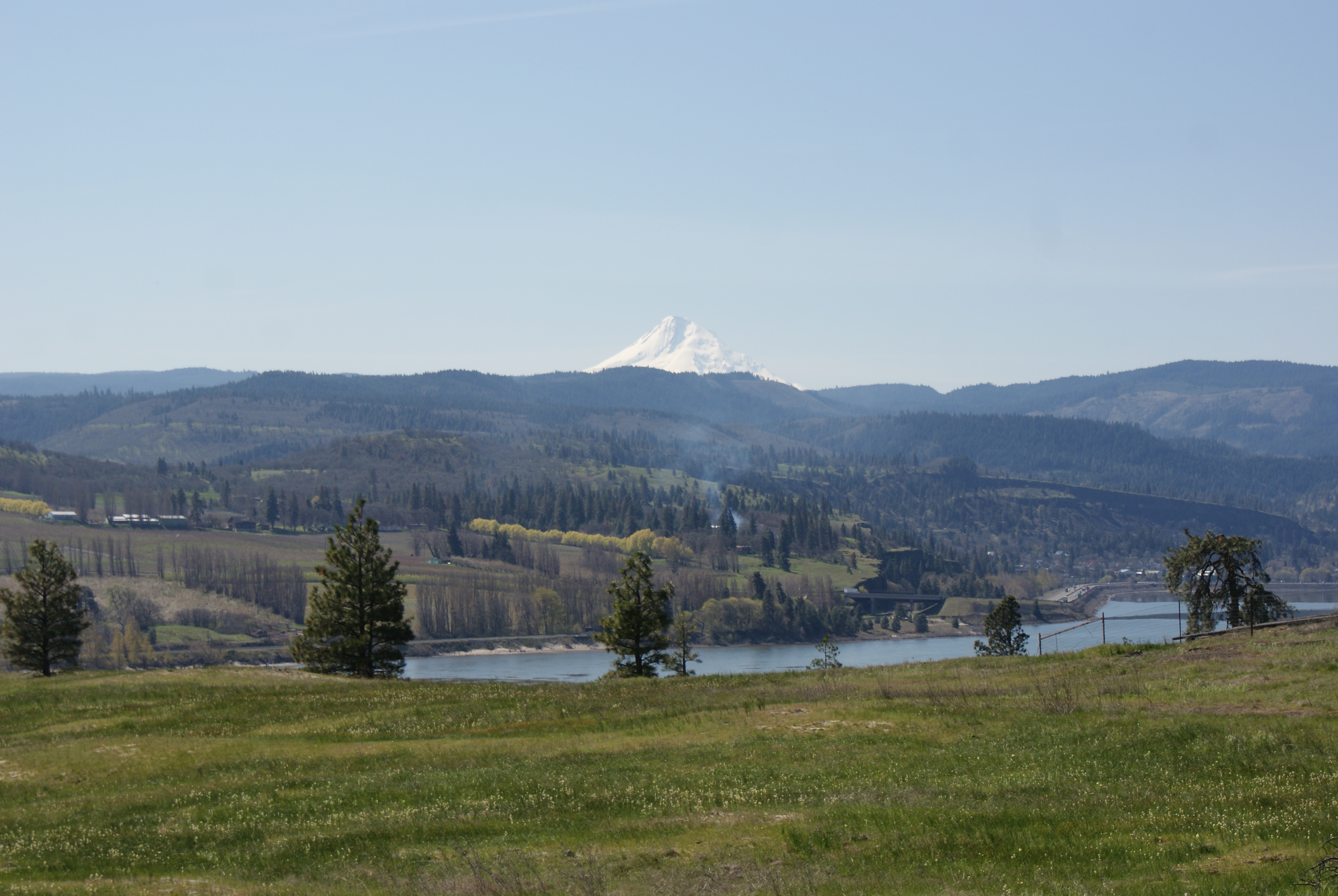 nature trails, gorge hiking, hikes for kids, washington, spring hiking, columbia river, wheelchair accessible trails