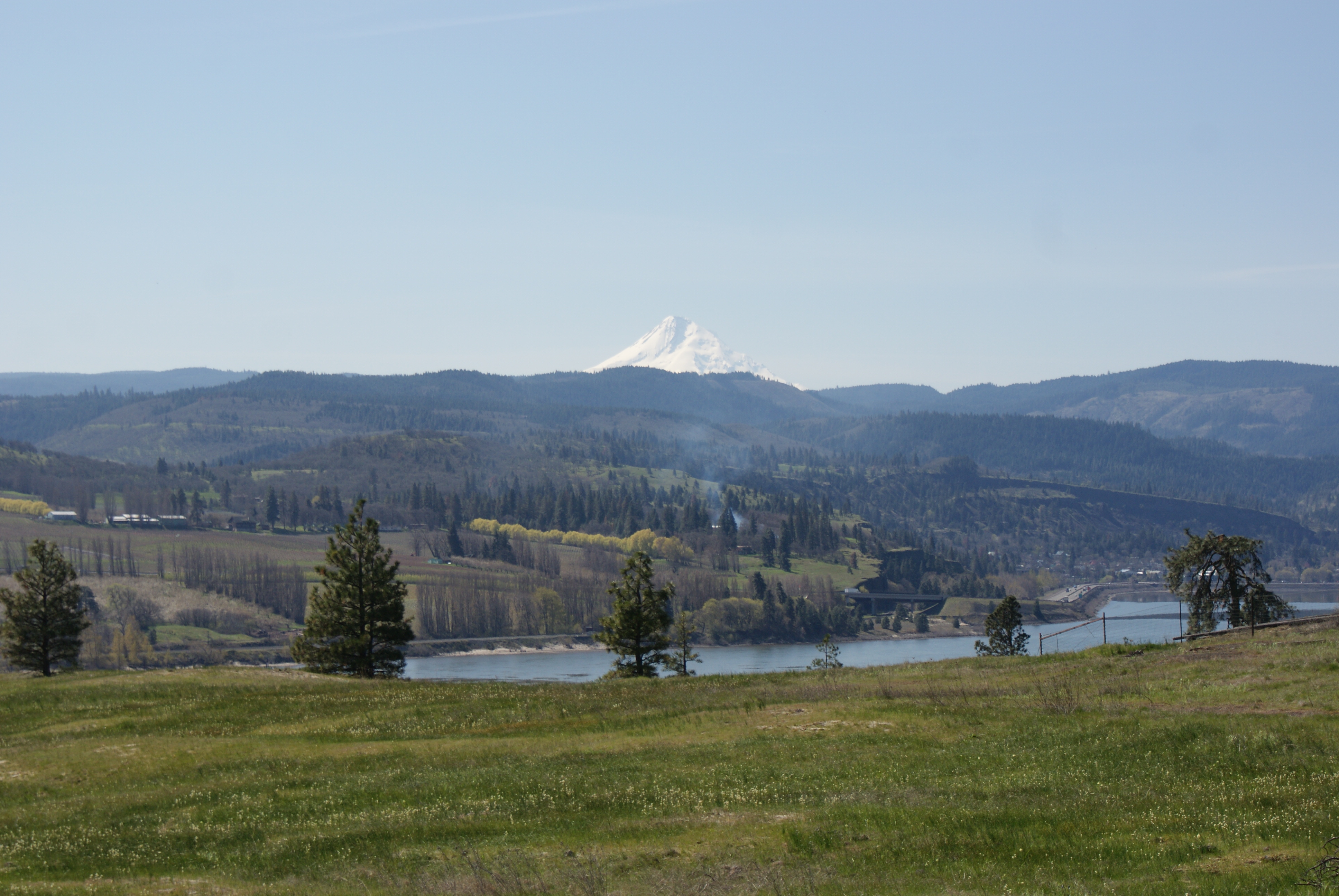 Hikes for Kids and Grandmas from the Catherine Creek Trailhead