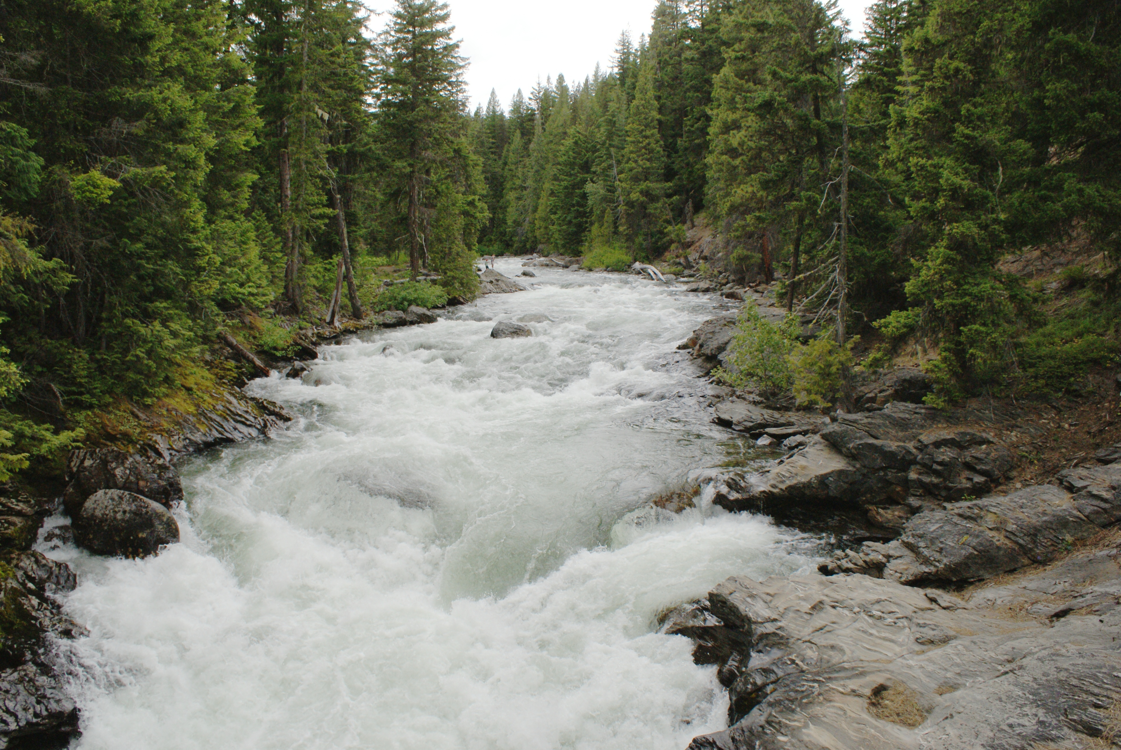 Icicle Gorge Trail – 6/26/14