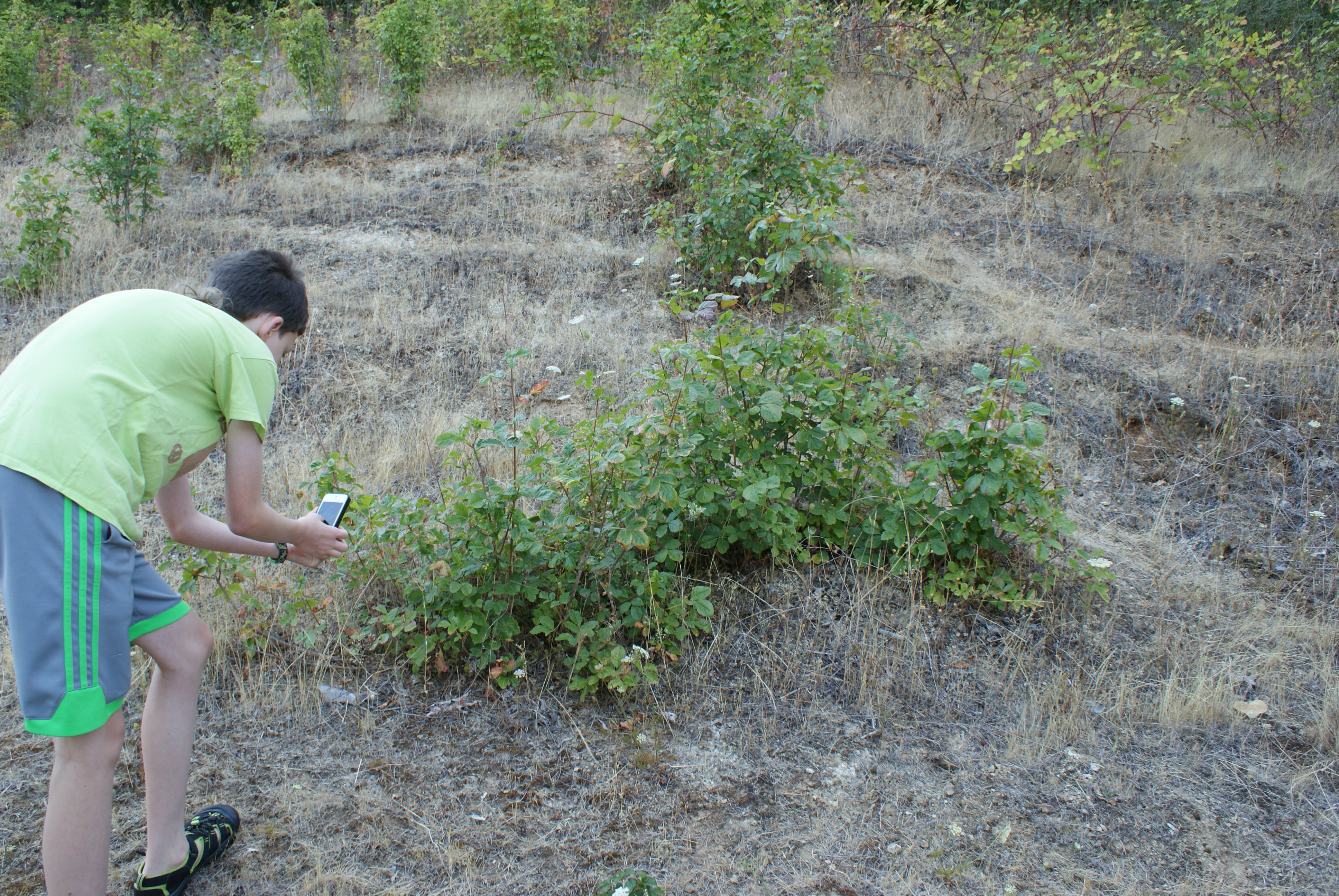 Finding Nature Around the Edges