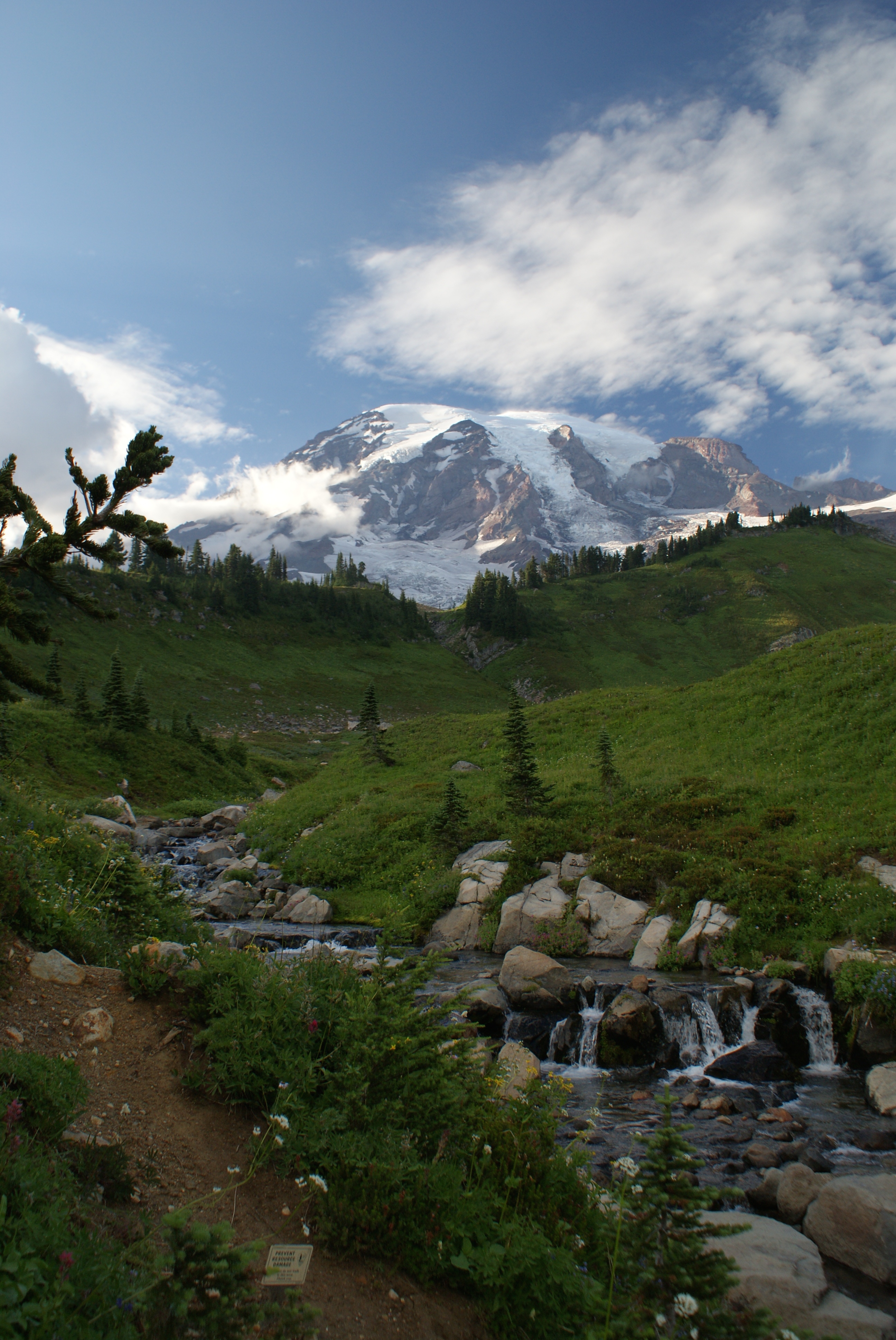 Mt. Rainier with children, Paradise, hiking mt. rainier