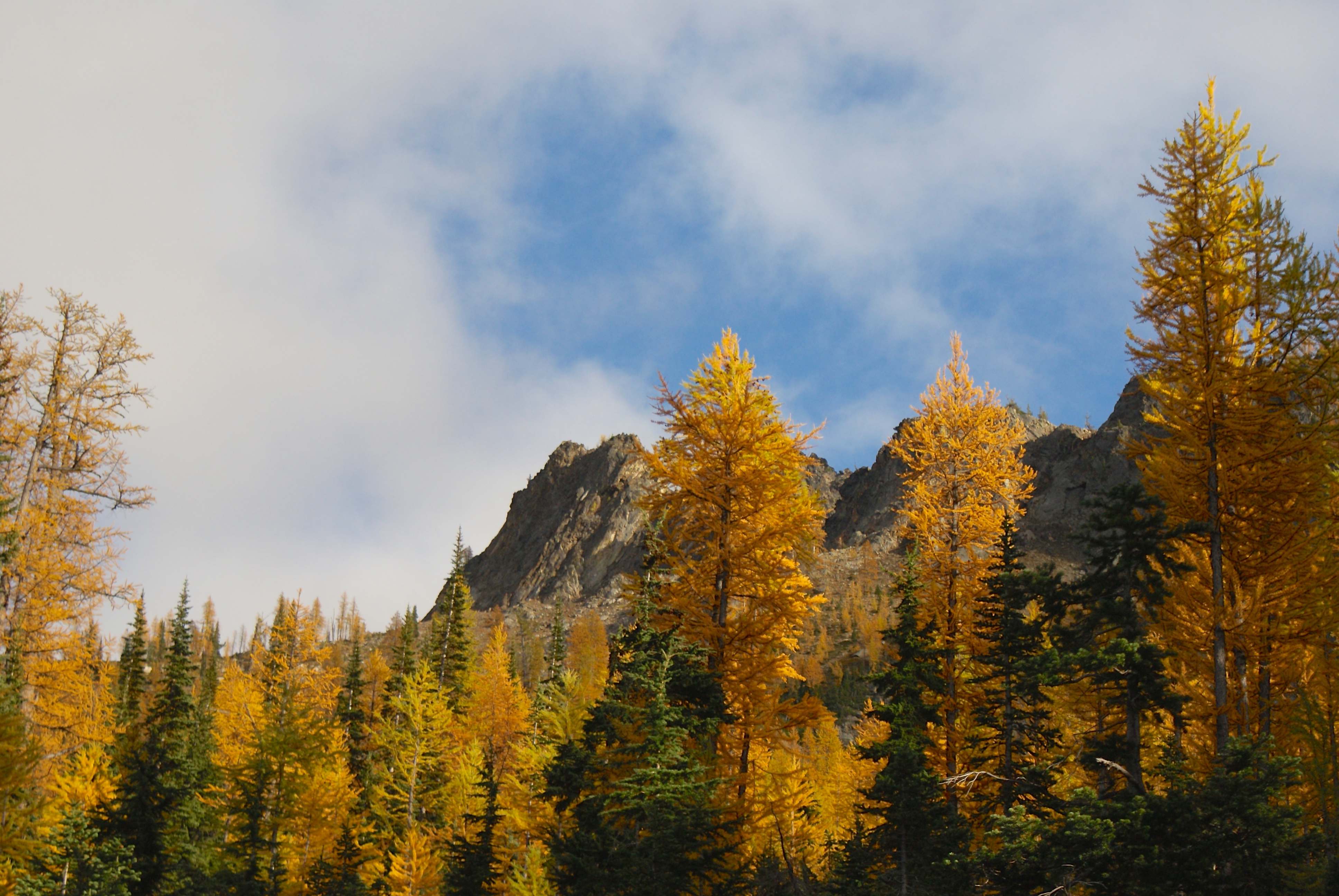 fall color, hiking with children