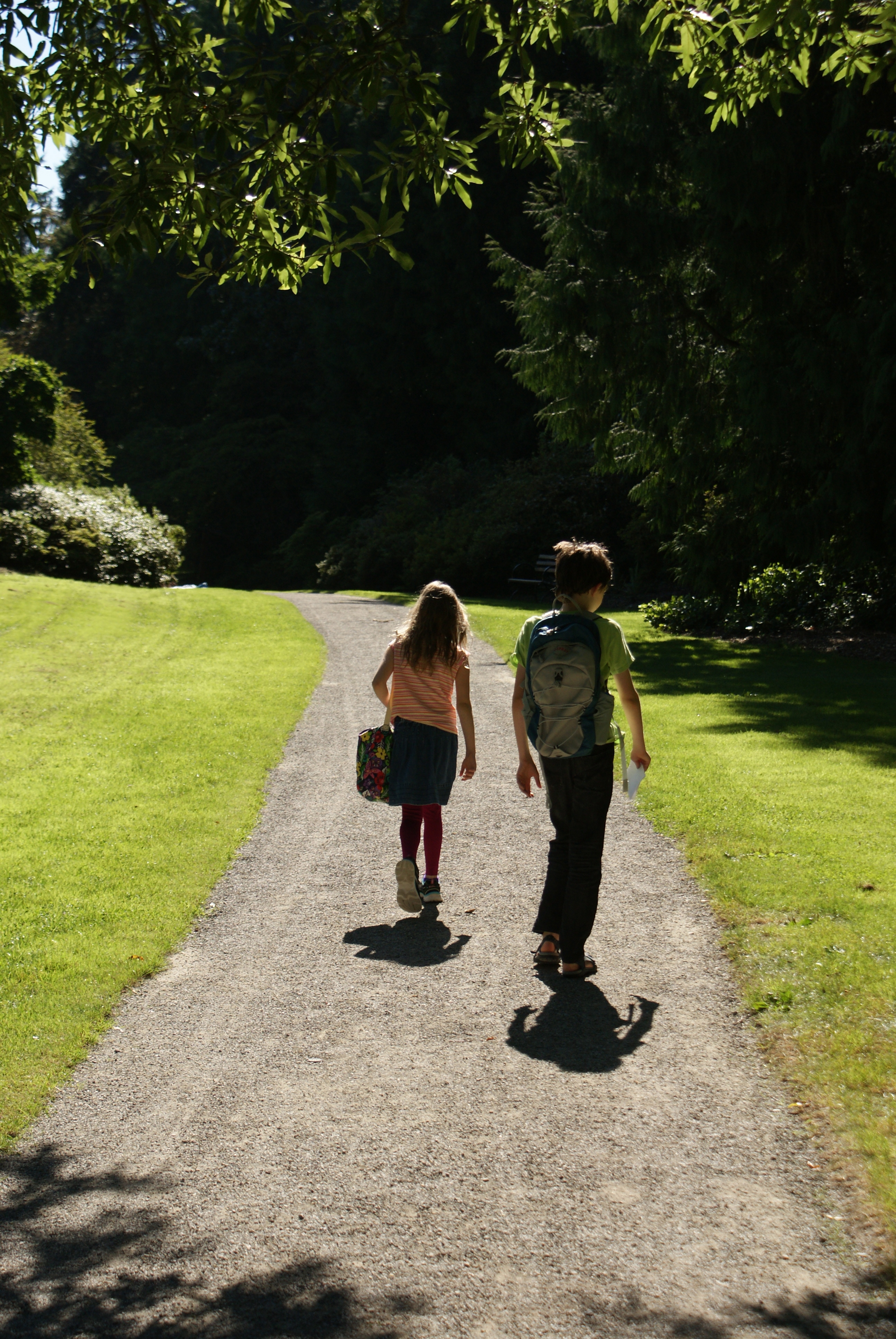 uw botanic gardens, washington park arboretum