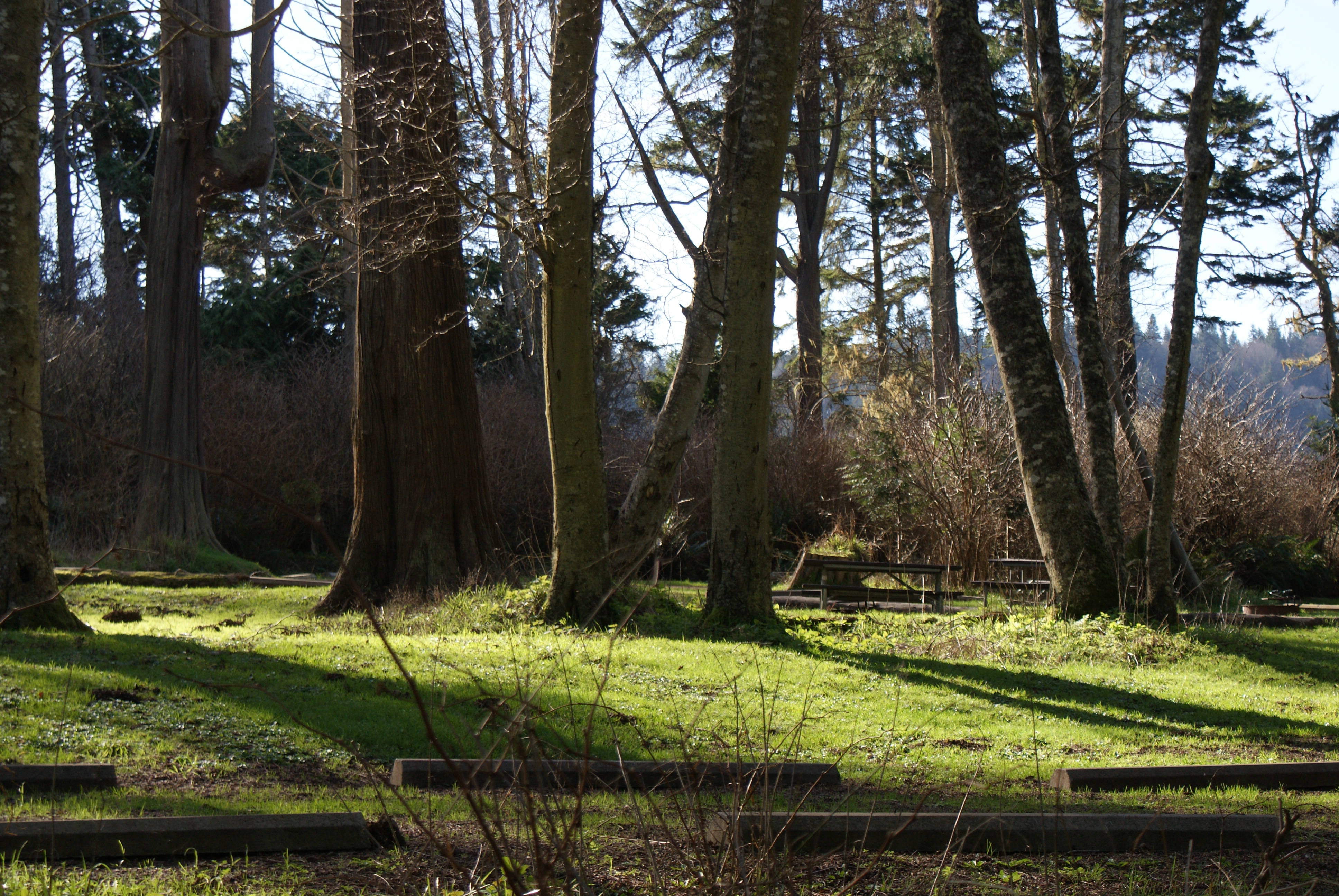 Winter Camping – Salt Creek Recreation Area and Dungeness Spit