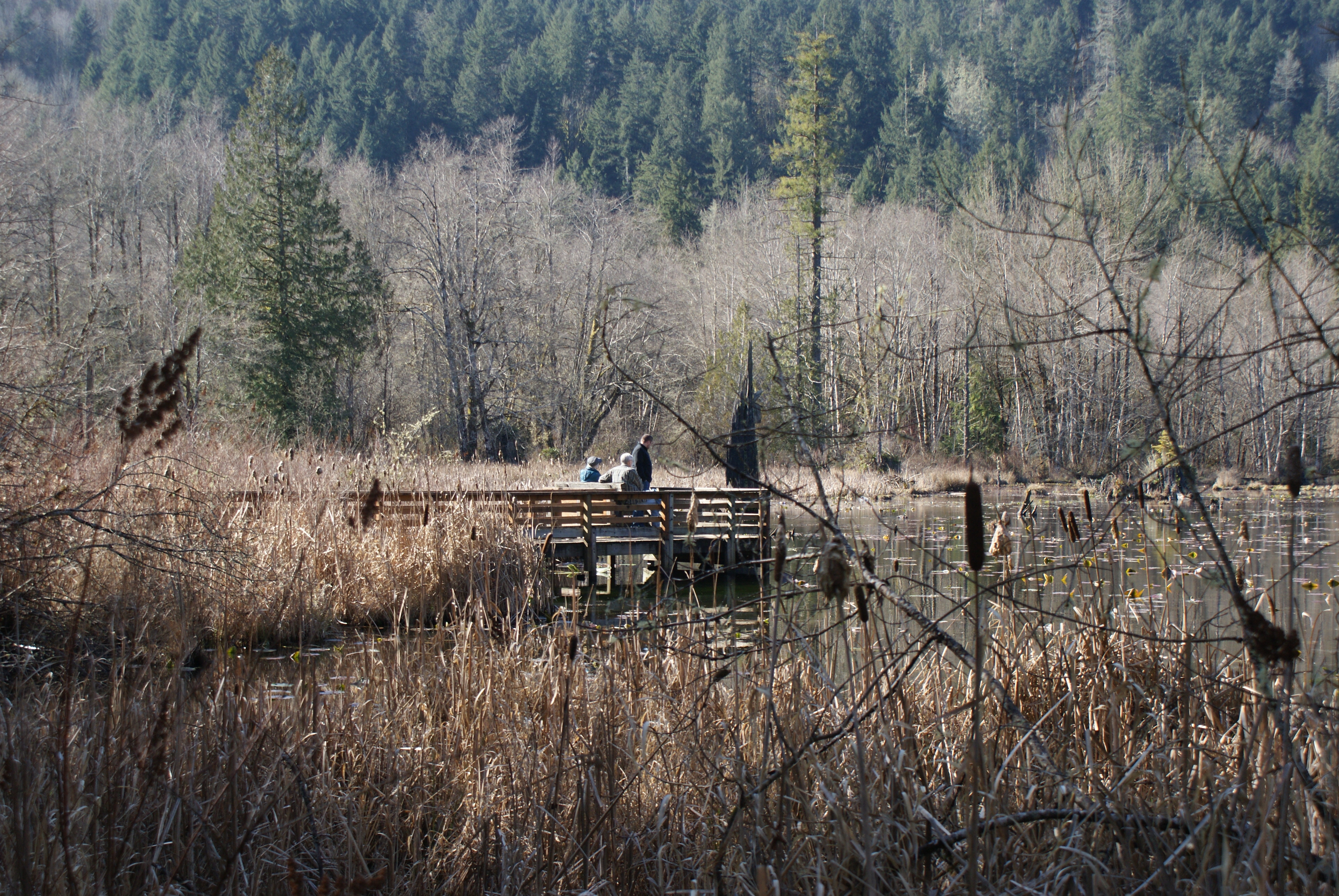 hiking with children, Olympia WA hikes