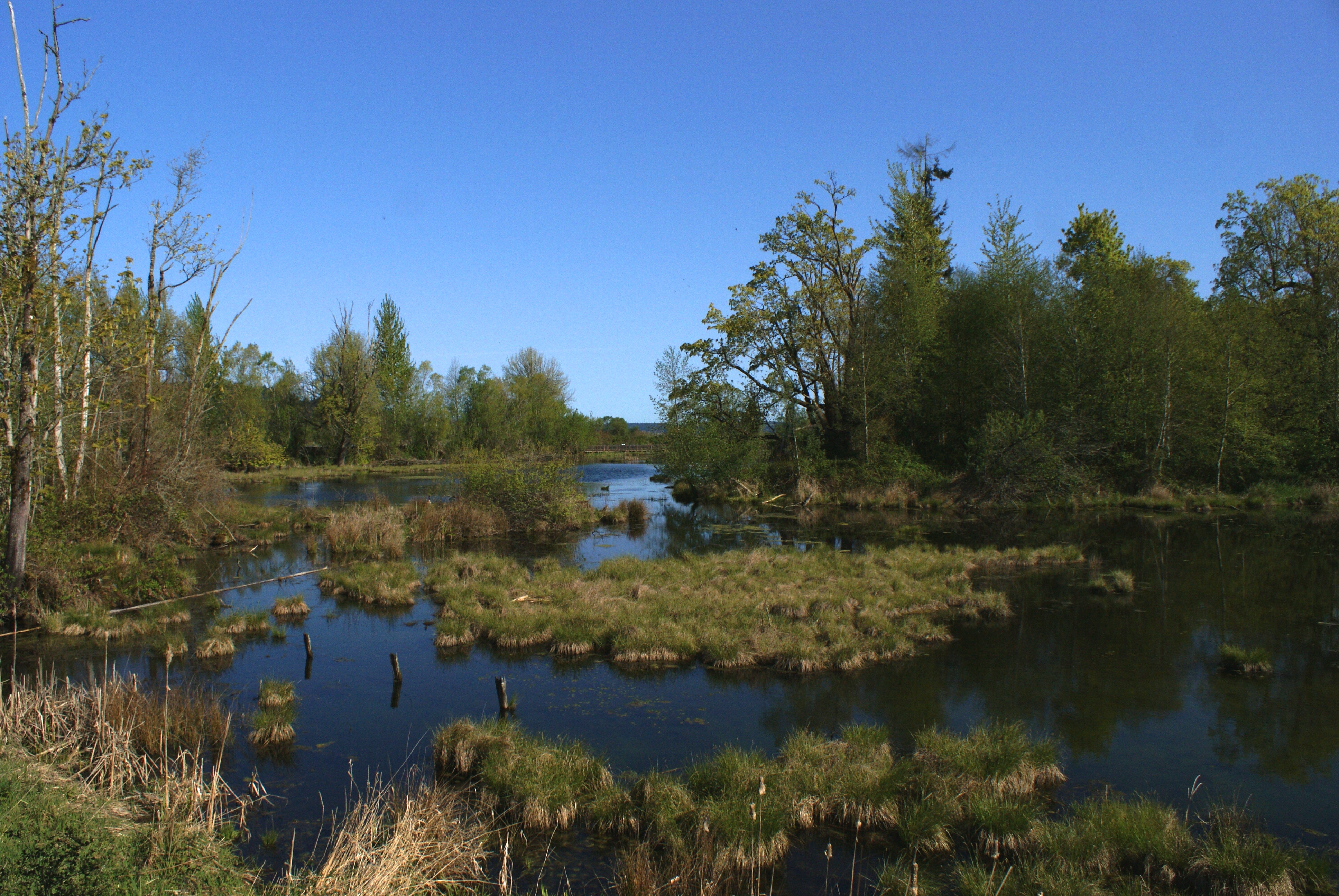 birding with children