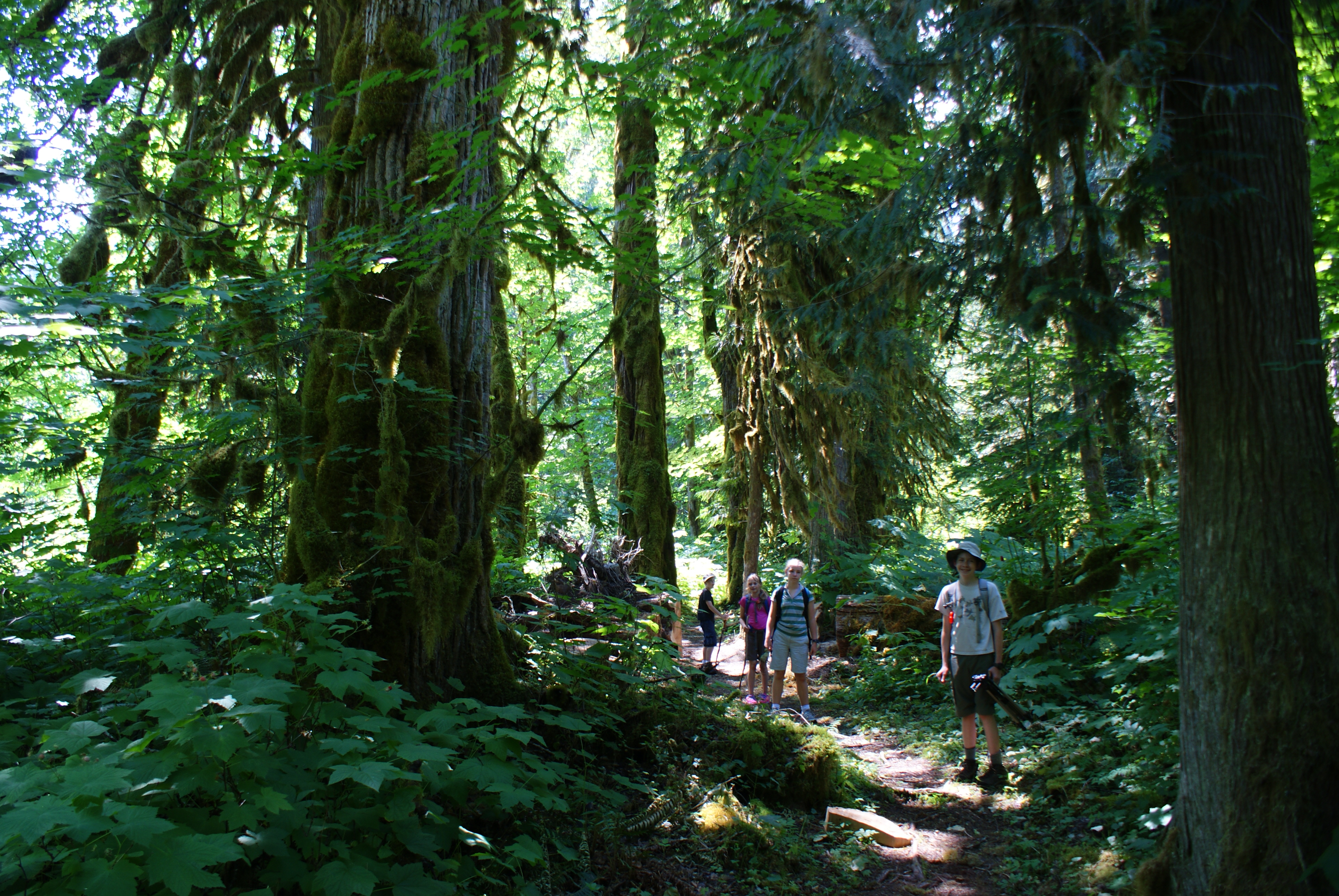 Old Sauk River Trail Hike