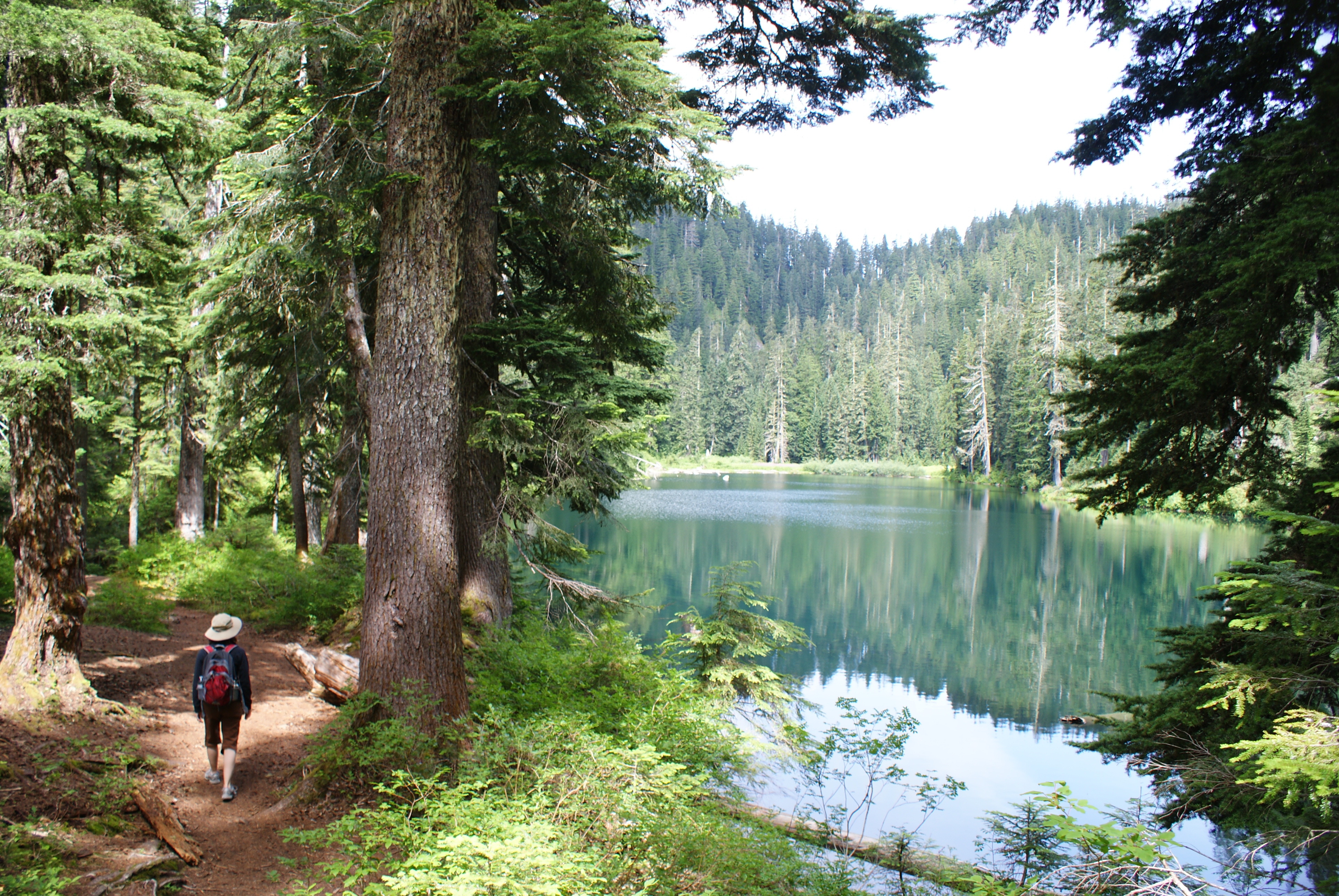 hiking with children, mountain loop highway hiking