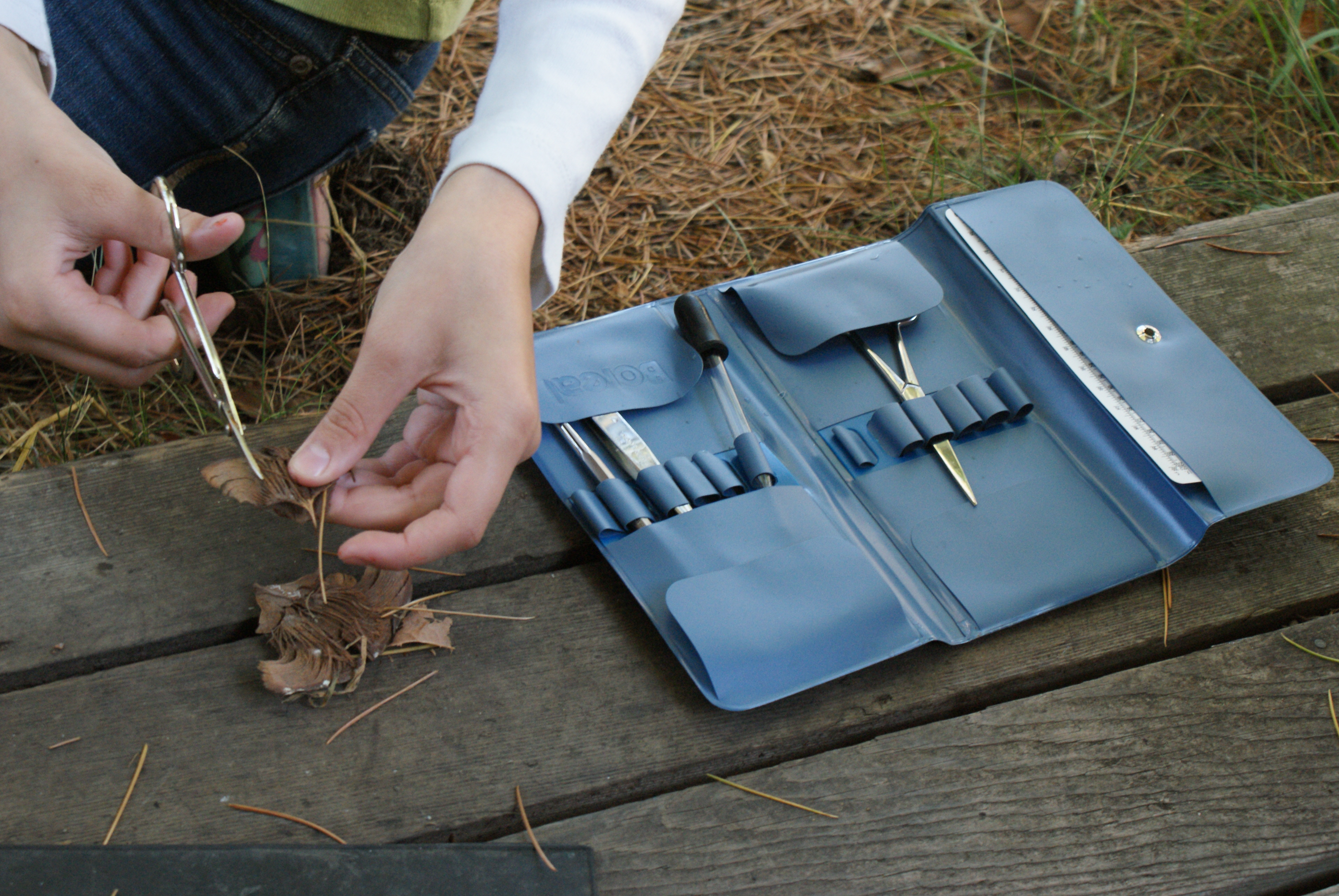 education, tools, kids in nature