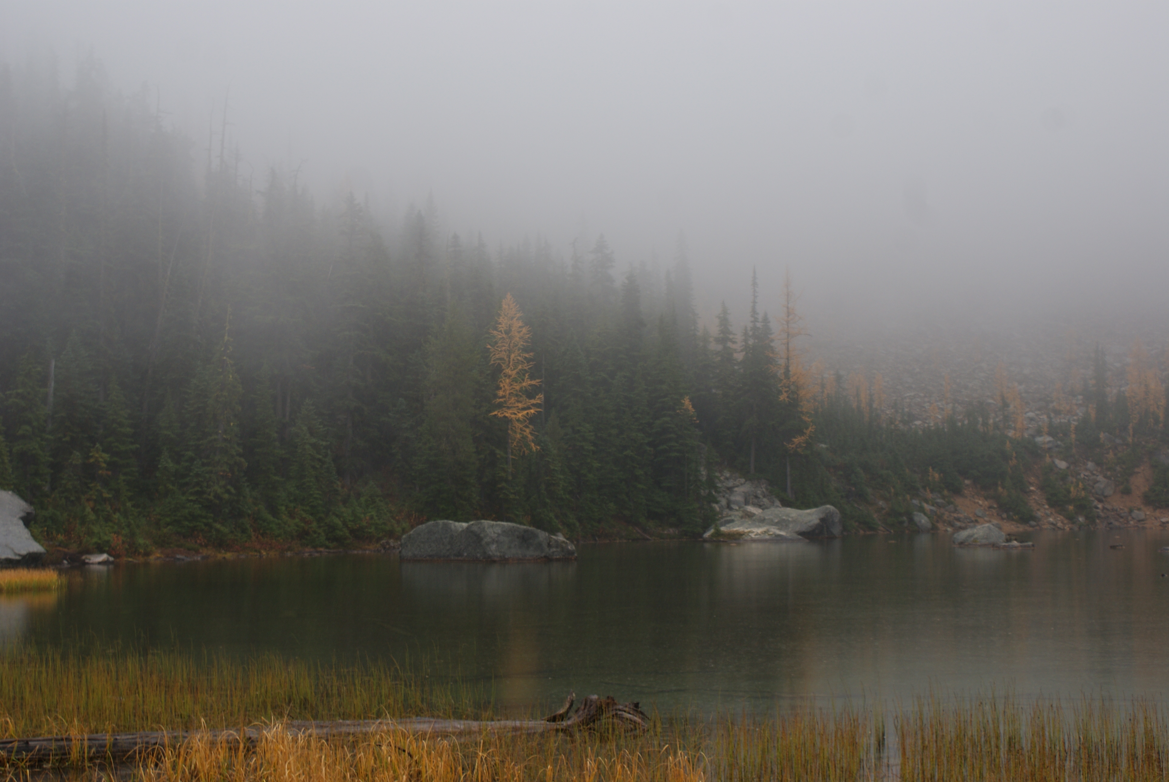 Larches in the Rain at Cutthroat Lake – 10/9/15