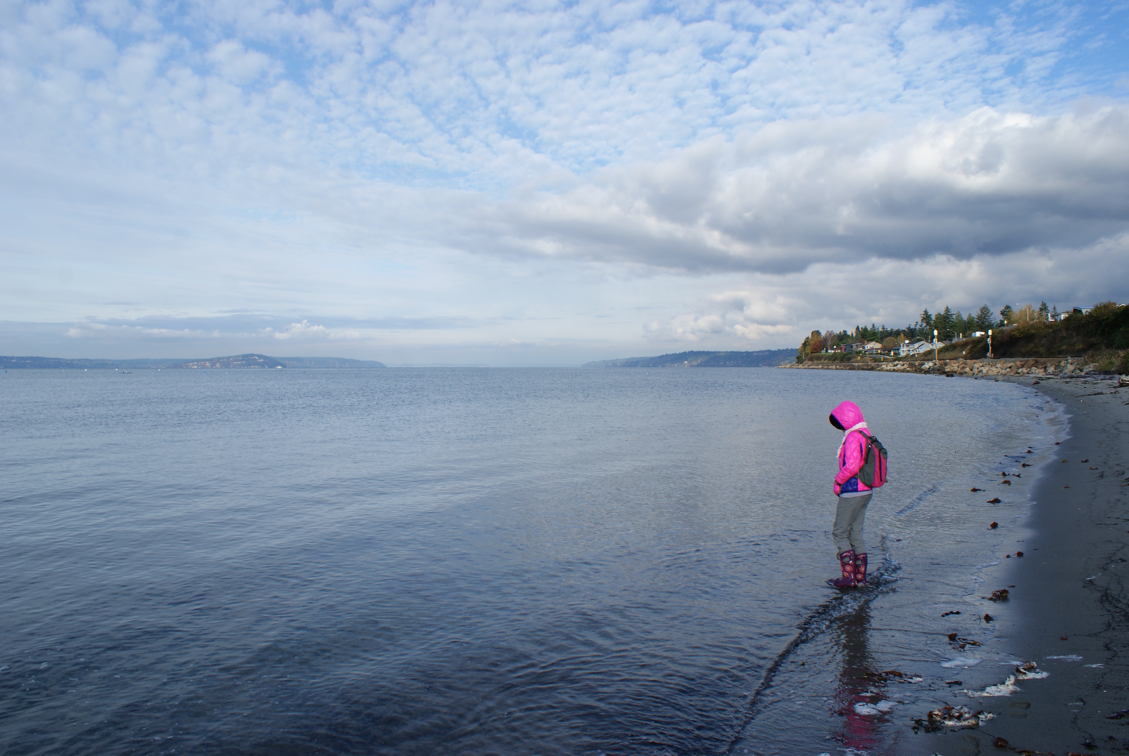 Birding in Edmonds