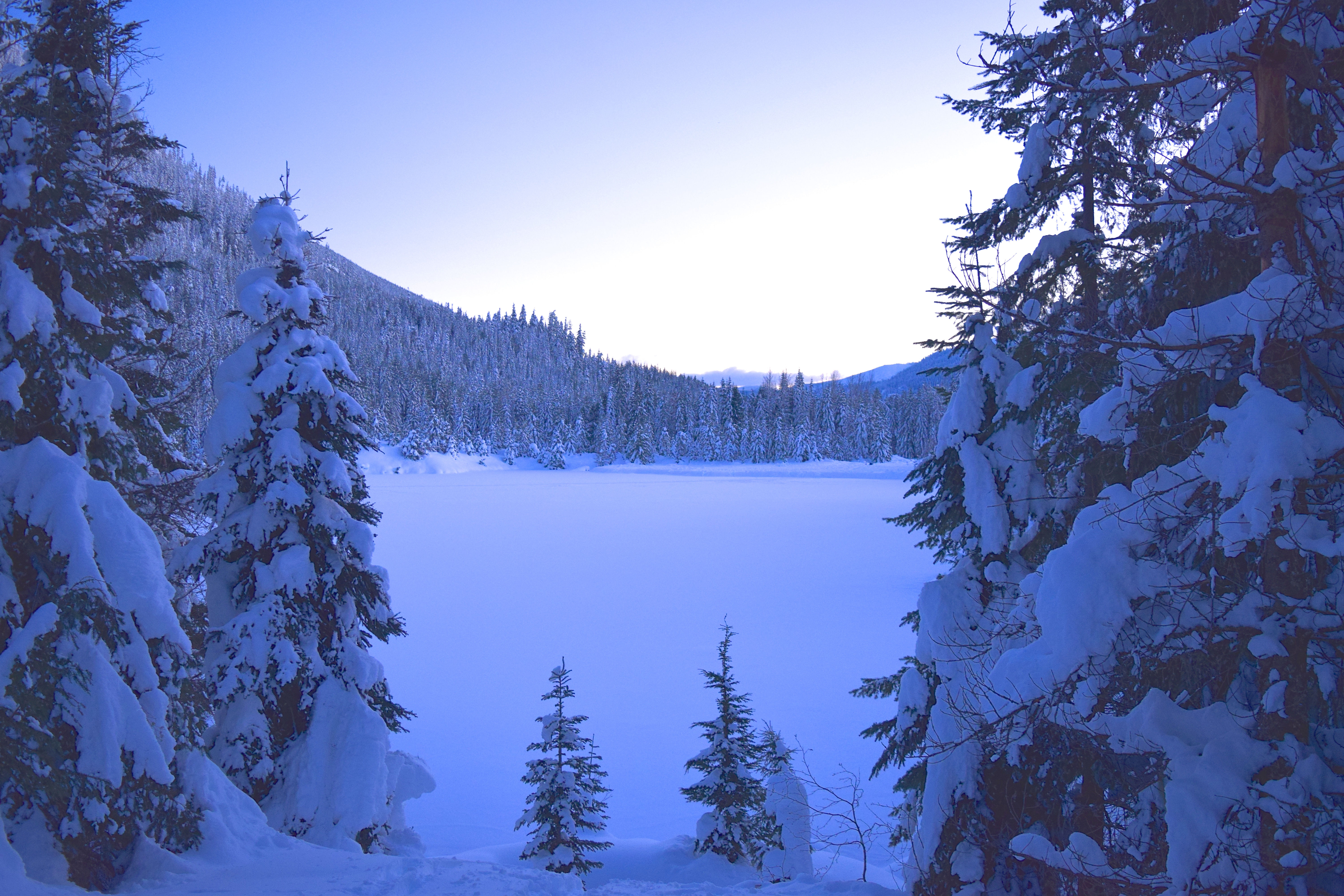 gold creek snowshoe, winter hikes, snowshoeing with children