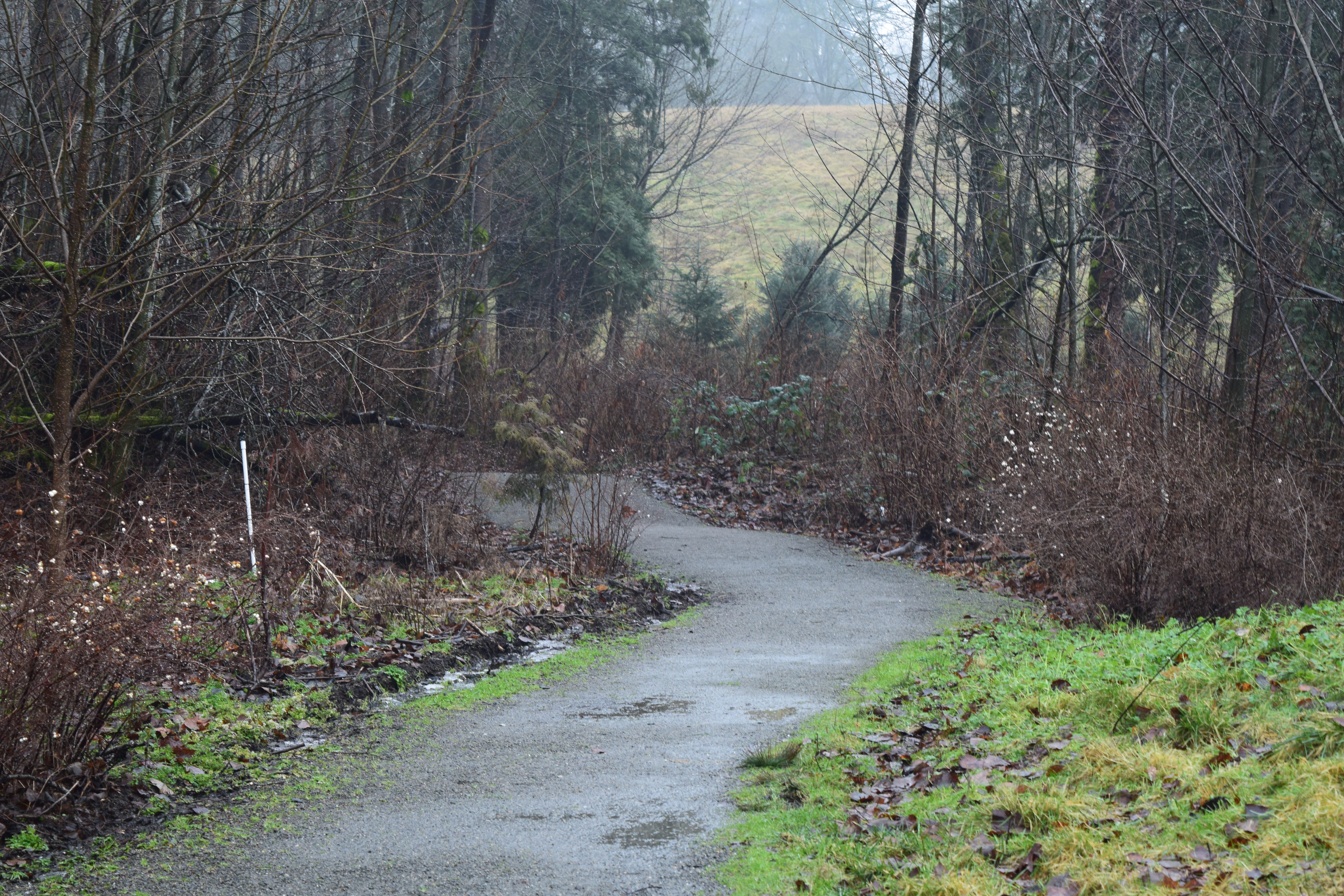 brightwater center hiking trails