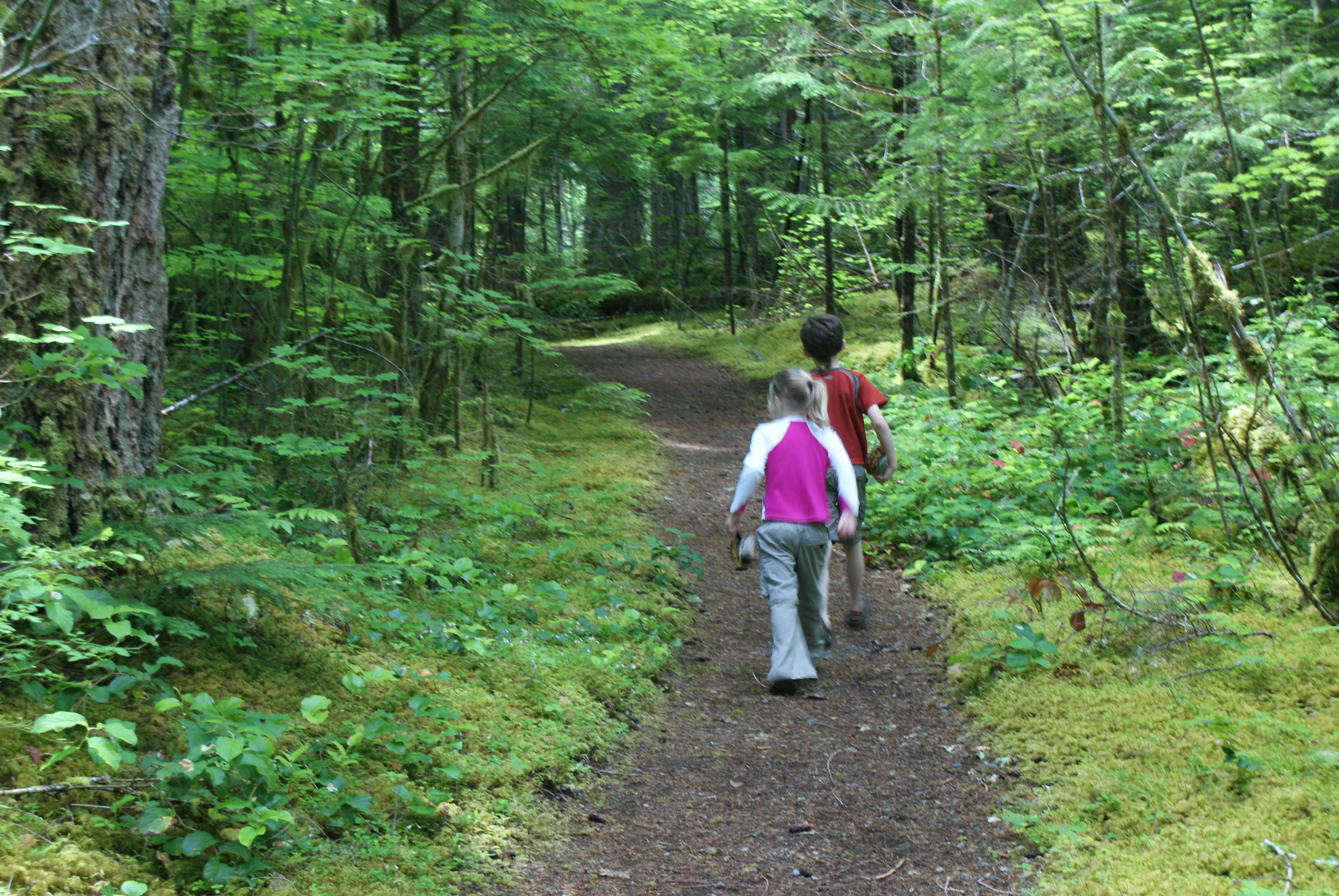 newhalem trails, hikes for kids, archaeology hikes, artifacts, ada accessible,