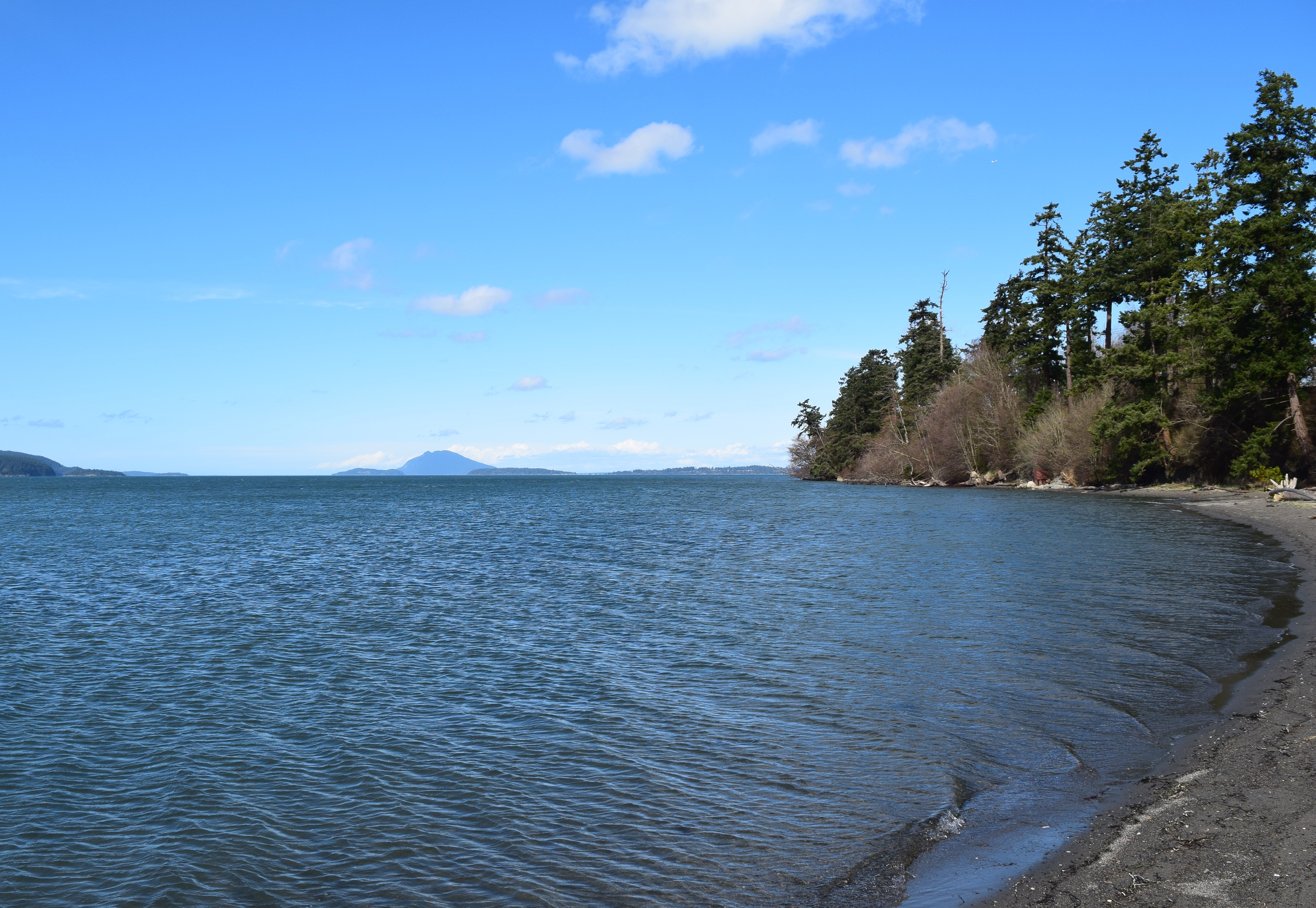 birding washington