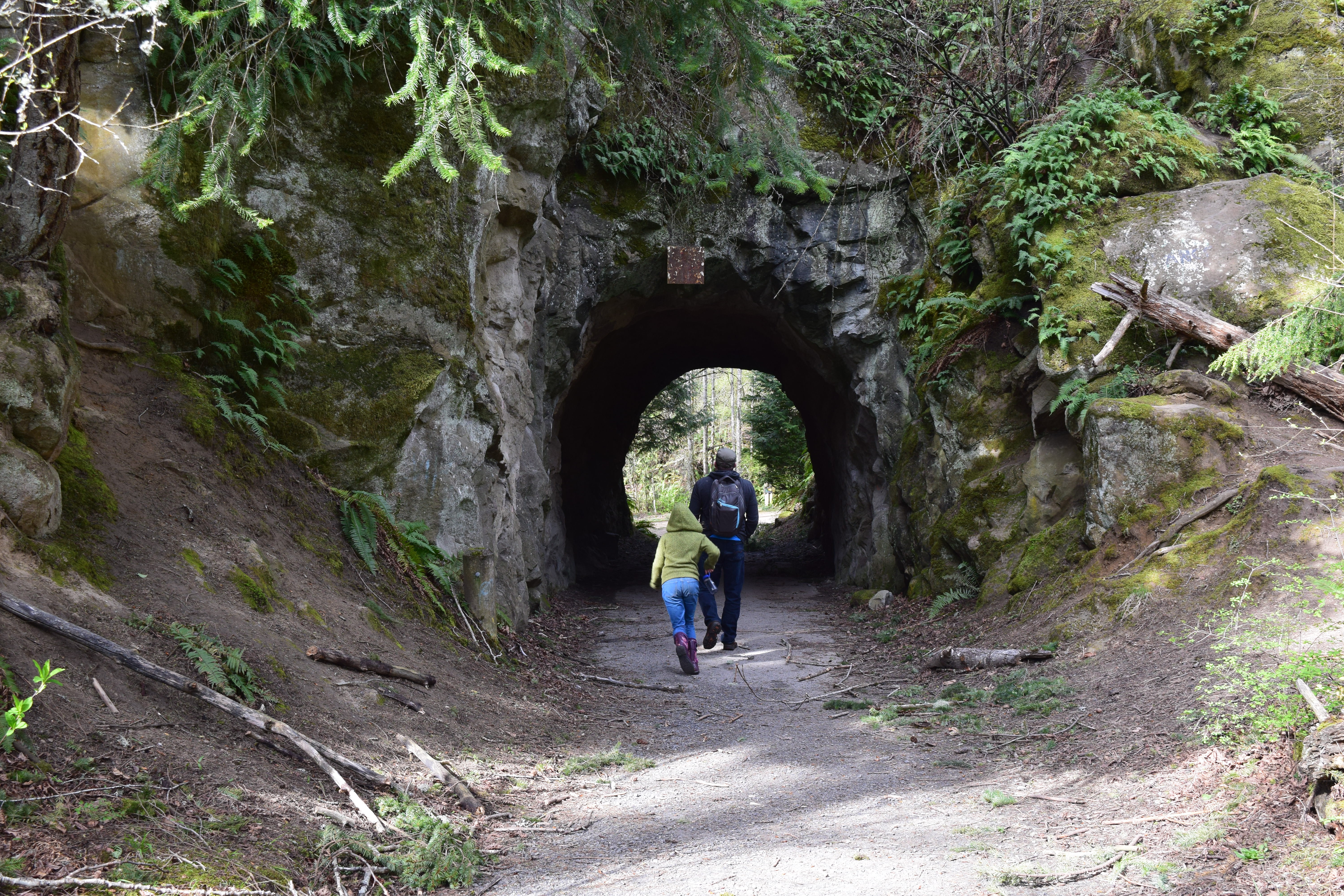 bellingham hikes, hikes for kids, spring